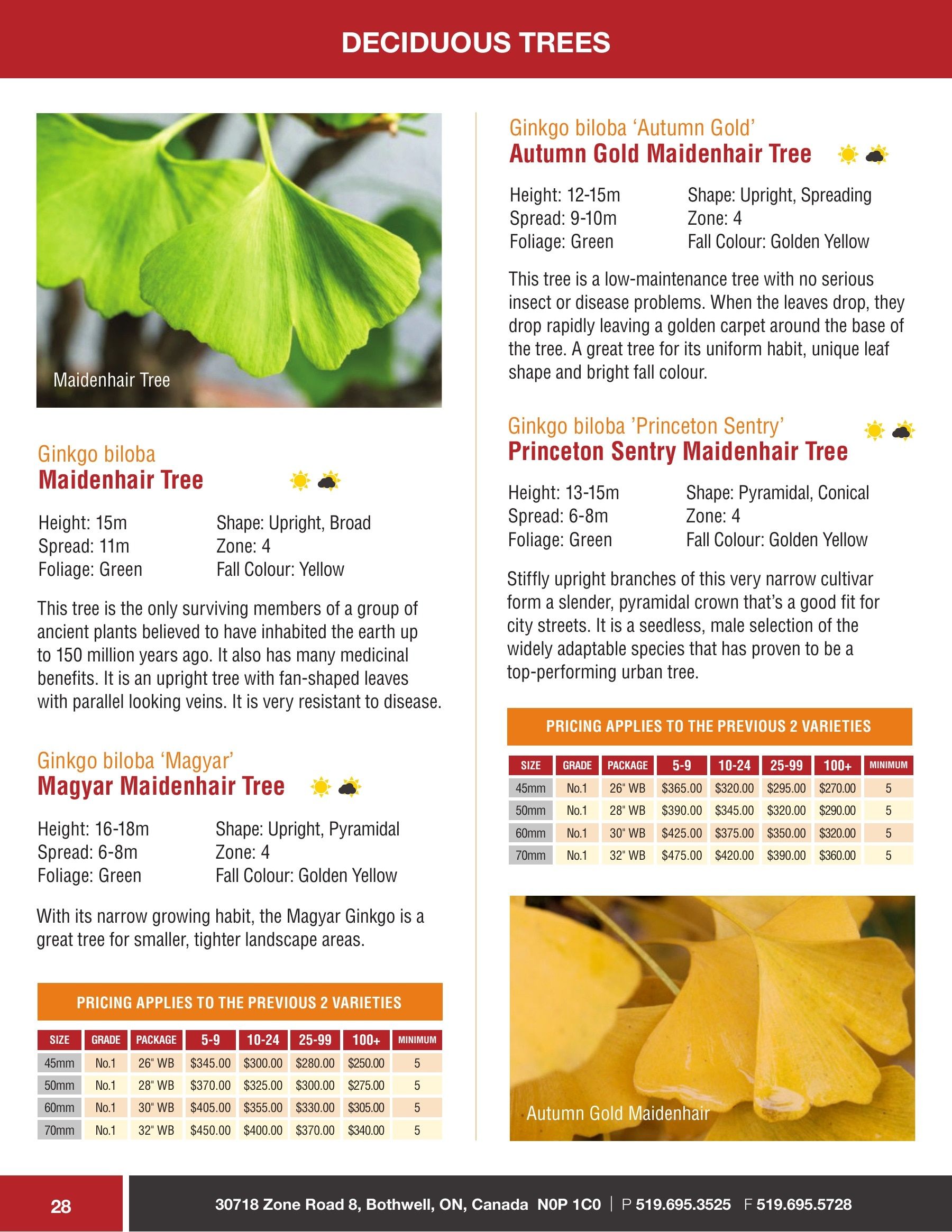 Sloan Nursery & Christmas Trees Annual Retail Catalog Flyer January 1 - December 31, 2026