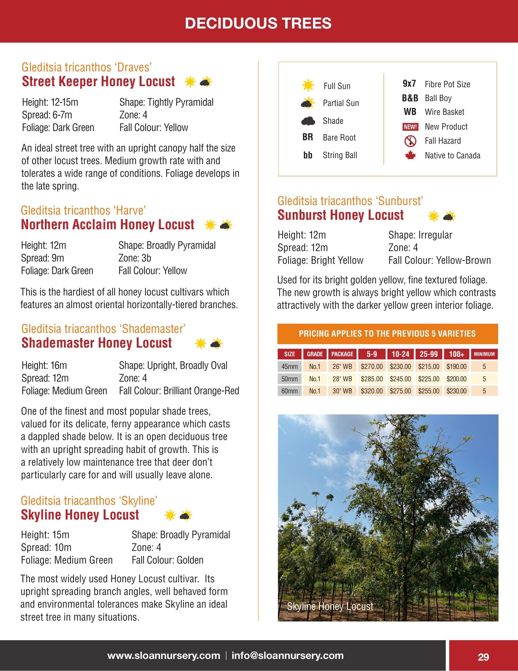 Sloan Nursery & Christmas Trees Annual Retail Catalog Flyer January 1 - December 31, 2026