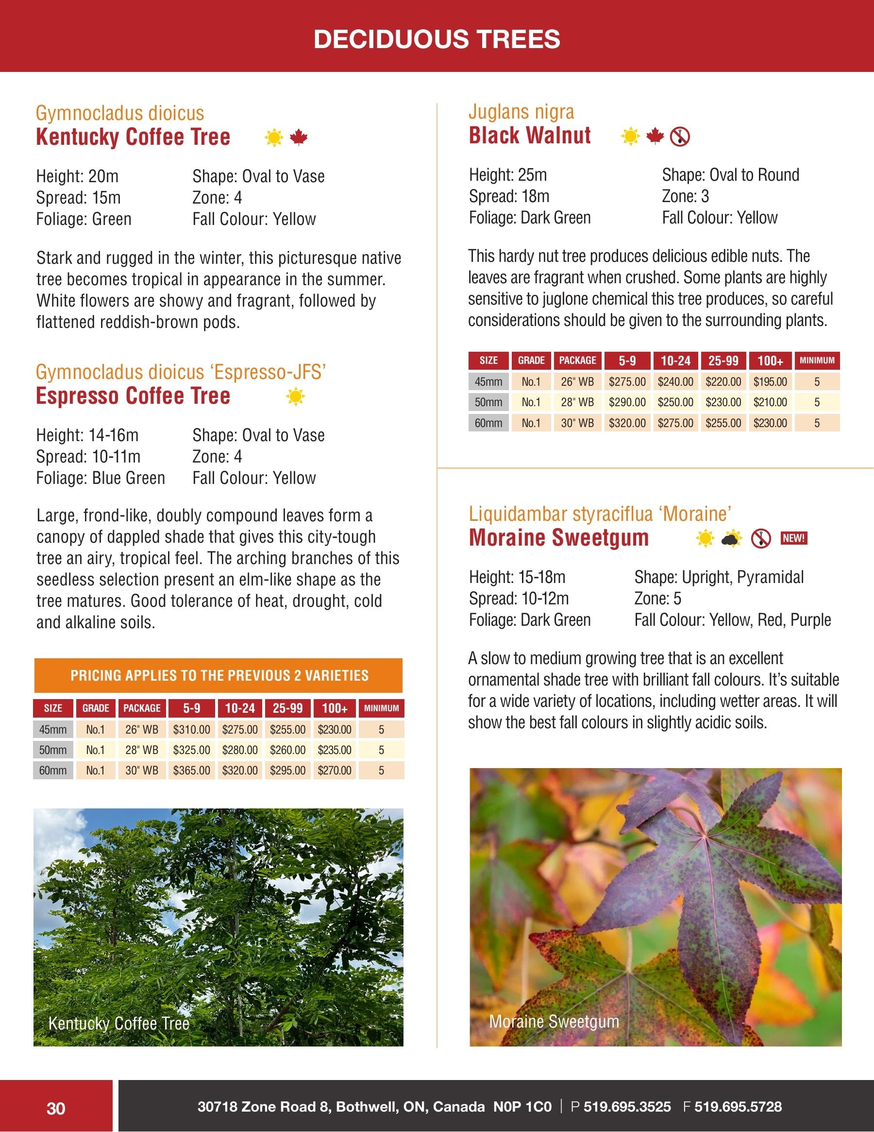 Sloan Nursery & Christmas Trees Annual Retail Catalog Flyer January 1 - December 31, 2026