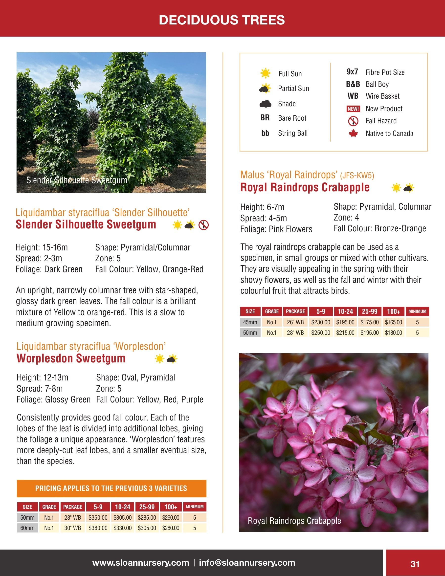 Sloan Nursery & Christmas Trees Annual Retail Catalog Flyer January 1 - December 31, 2026