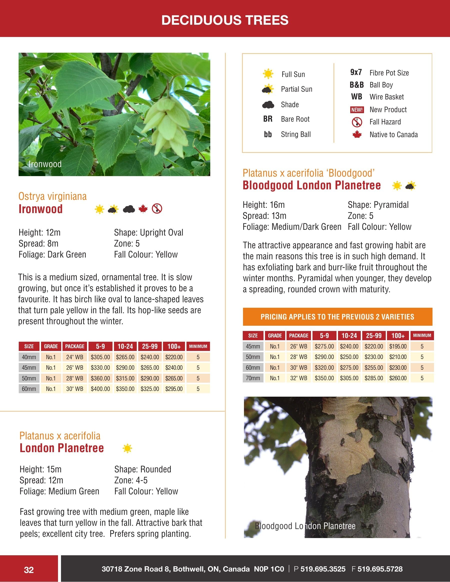 Sloan Nursery & Christmas Trees Annual Retail Catalog Flyer January 1 - December 31, 2026
