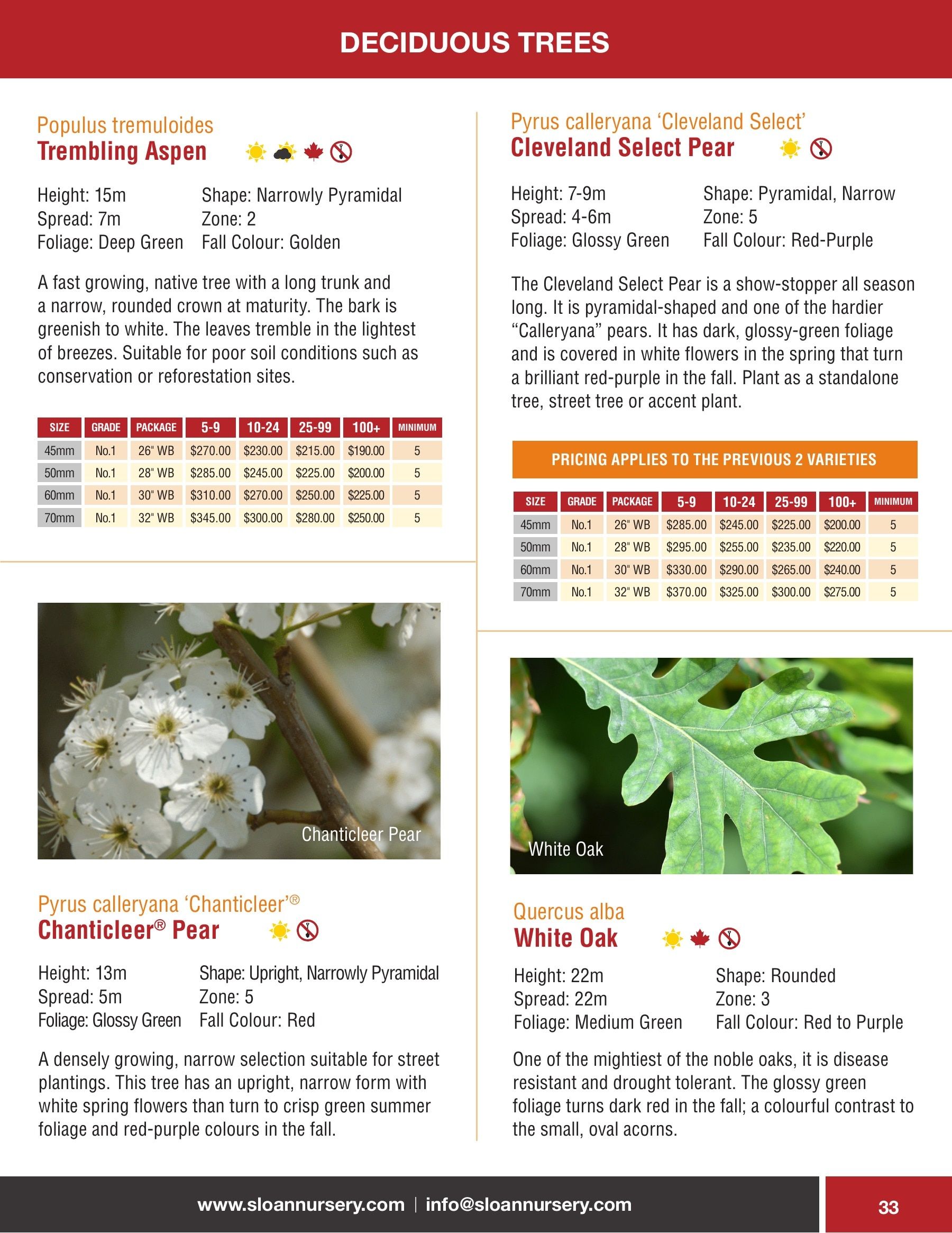 Sloan Nursery & Christmas Trees Annual Retail Catalog Flyer January 1 - December 31, 2026