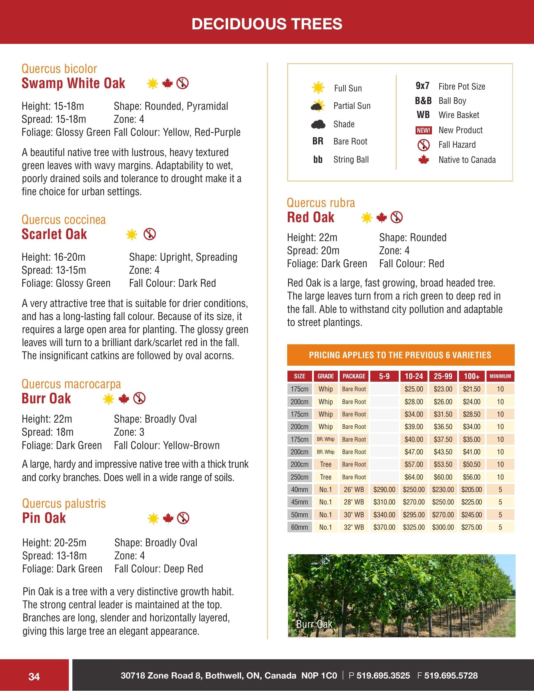 Sloan Nursery & Christmas Trees Annual Retail Catalog Flyer January 1 - December 31, 2026