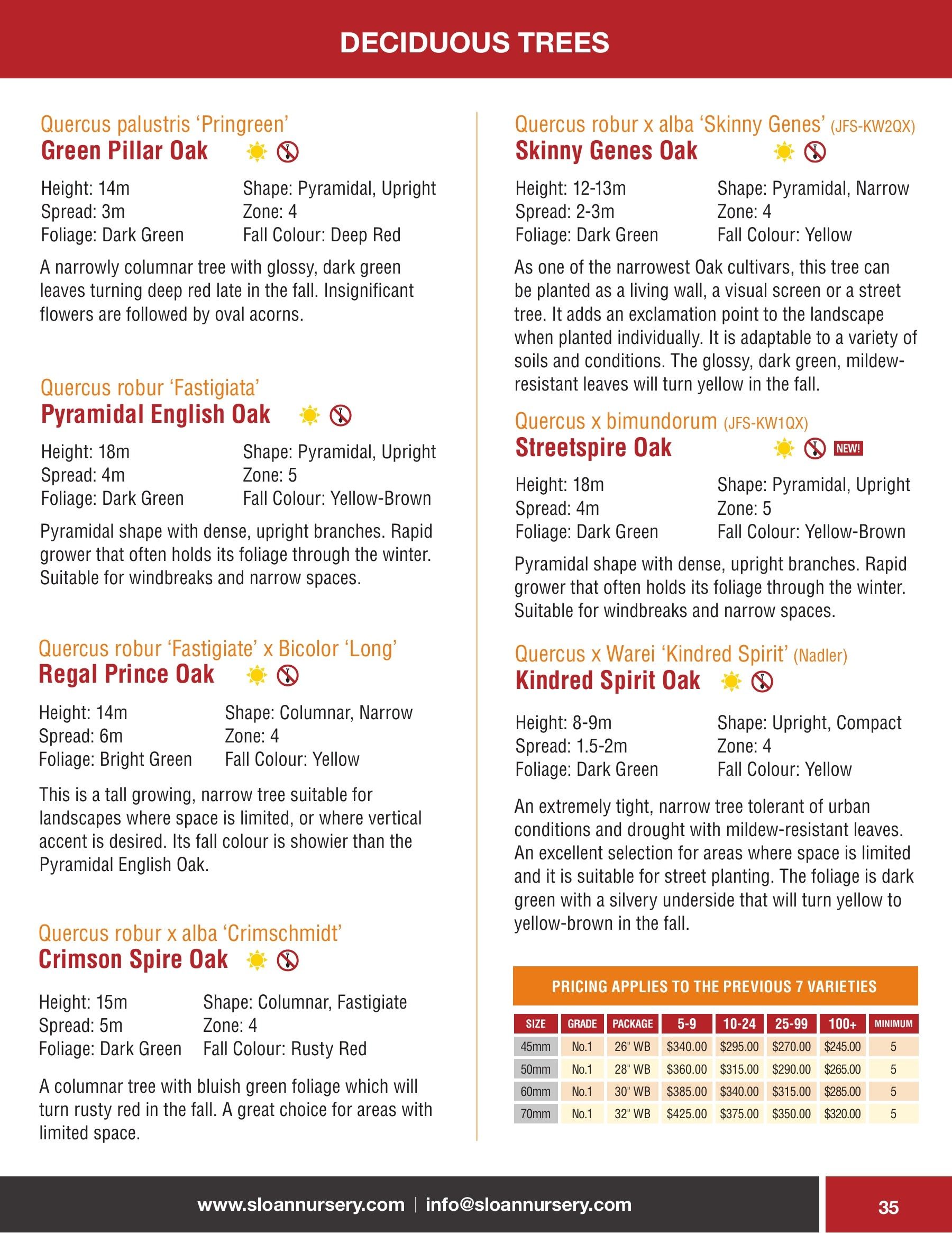 Sloan Nursery & Christmas Trees Annual Retail Catalog Flyer January 1 - December 31, 2026