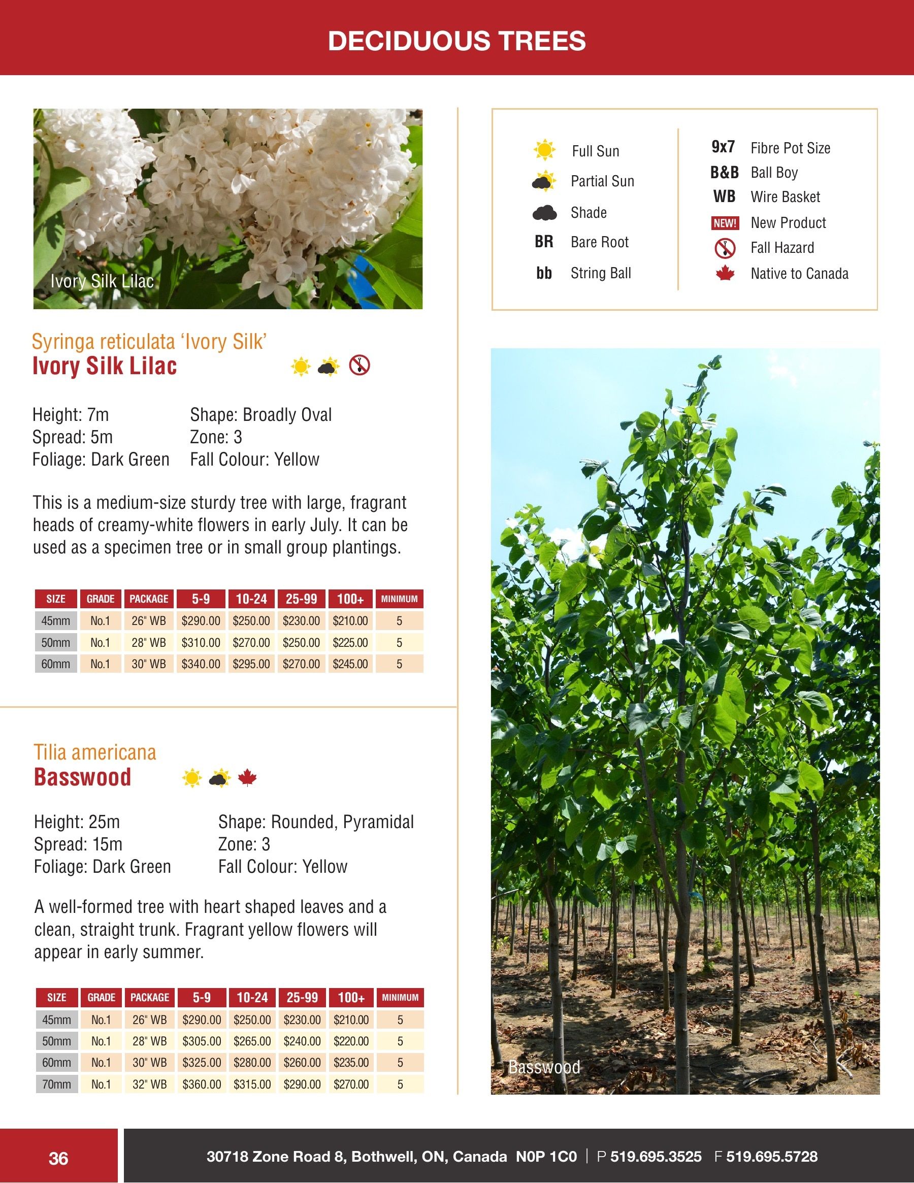 Sloan Nursery & Christmas Trees Annual Retail Catalog Flyer January 1 - December 31, 2026