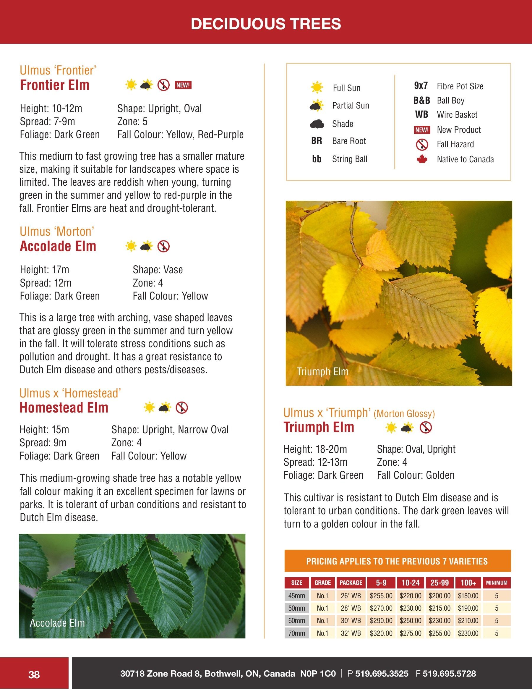 Sloan Nursery & Christmas Trees Annual Retail Catalog Flyer January 1 - December 31, 2026