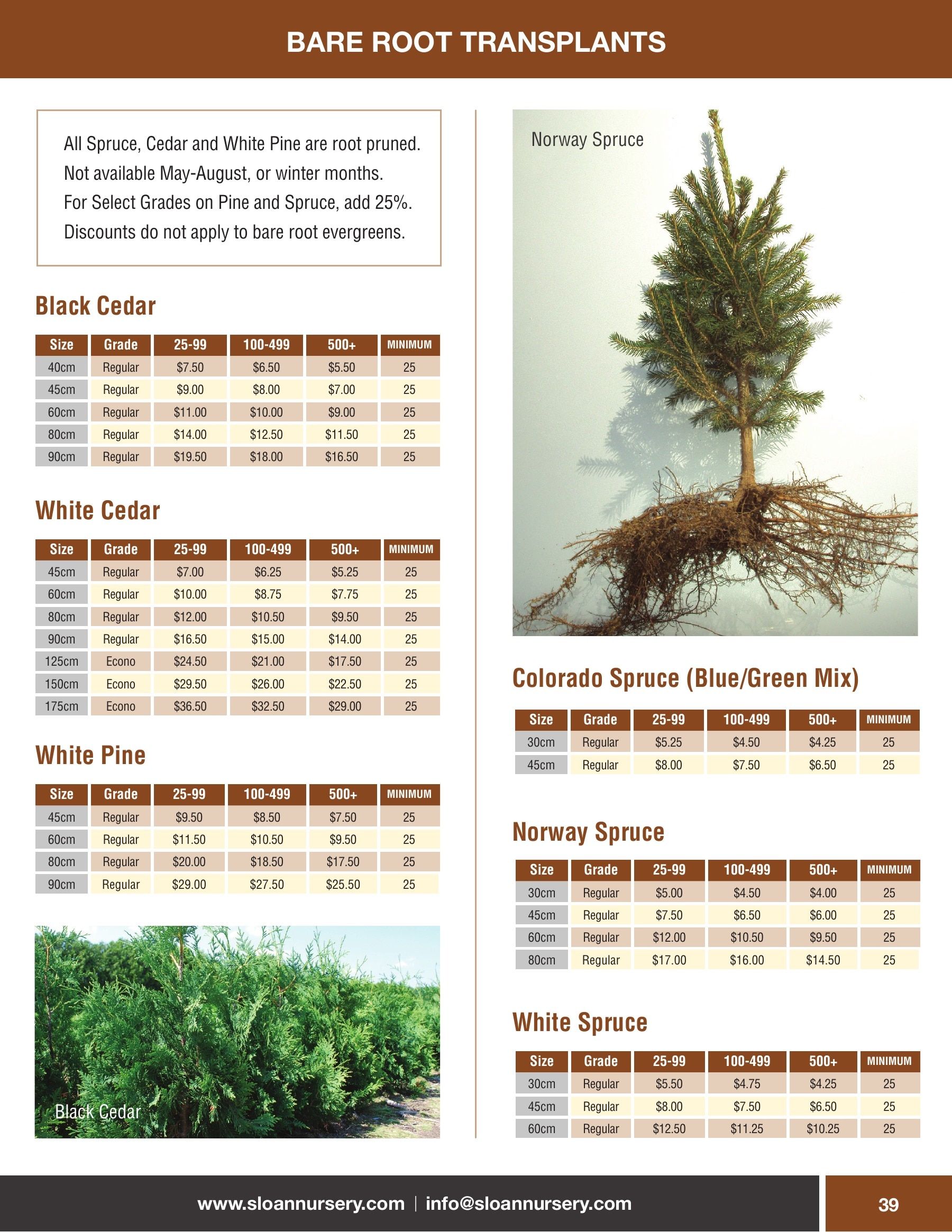 Sloan Nursery & Christmas Trees Annual Retail Catalog Flyer January 1 - December 31, 2026