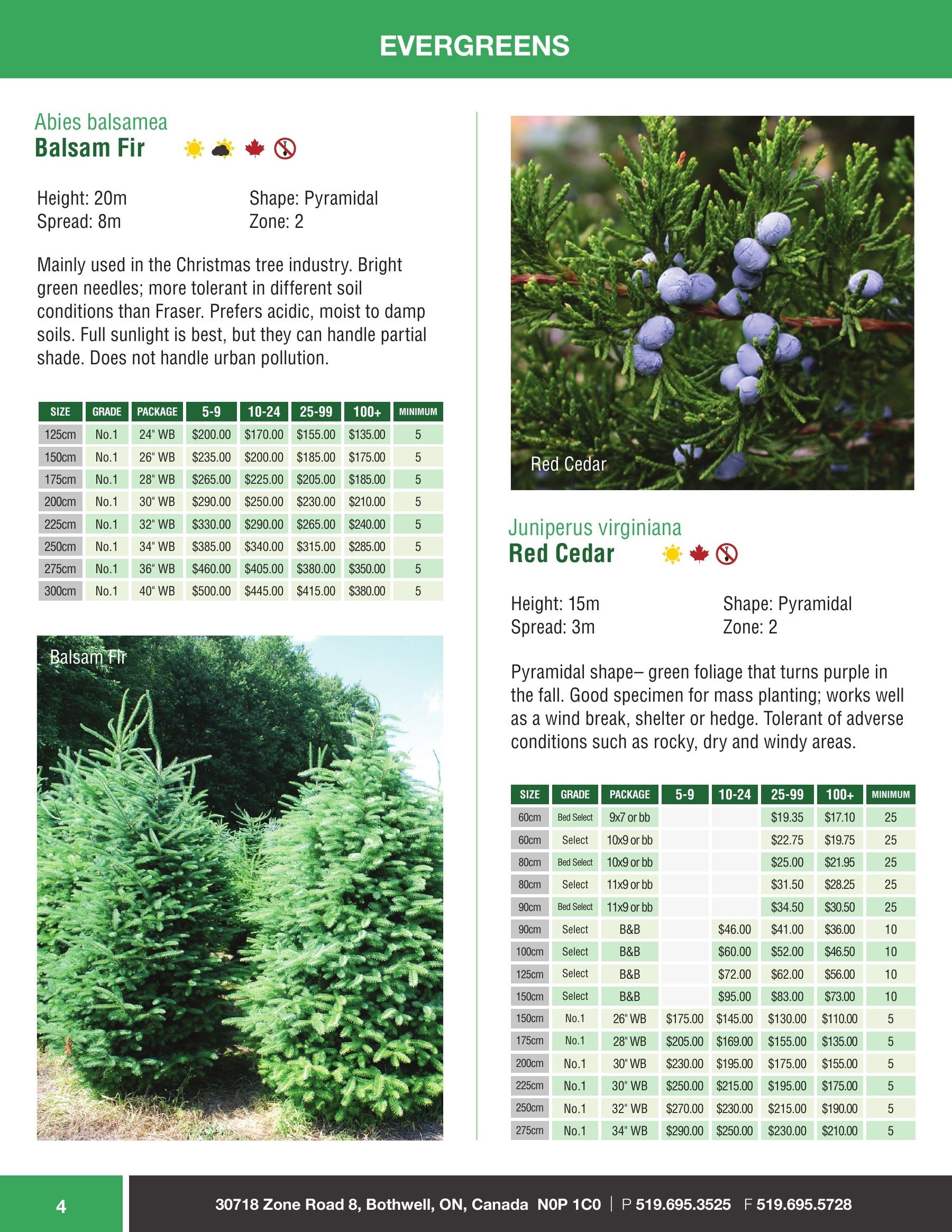 Sloan Nursery & Christmas Trees Annual Retail Catalog Flyer January 1 - December 31, 2026