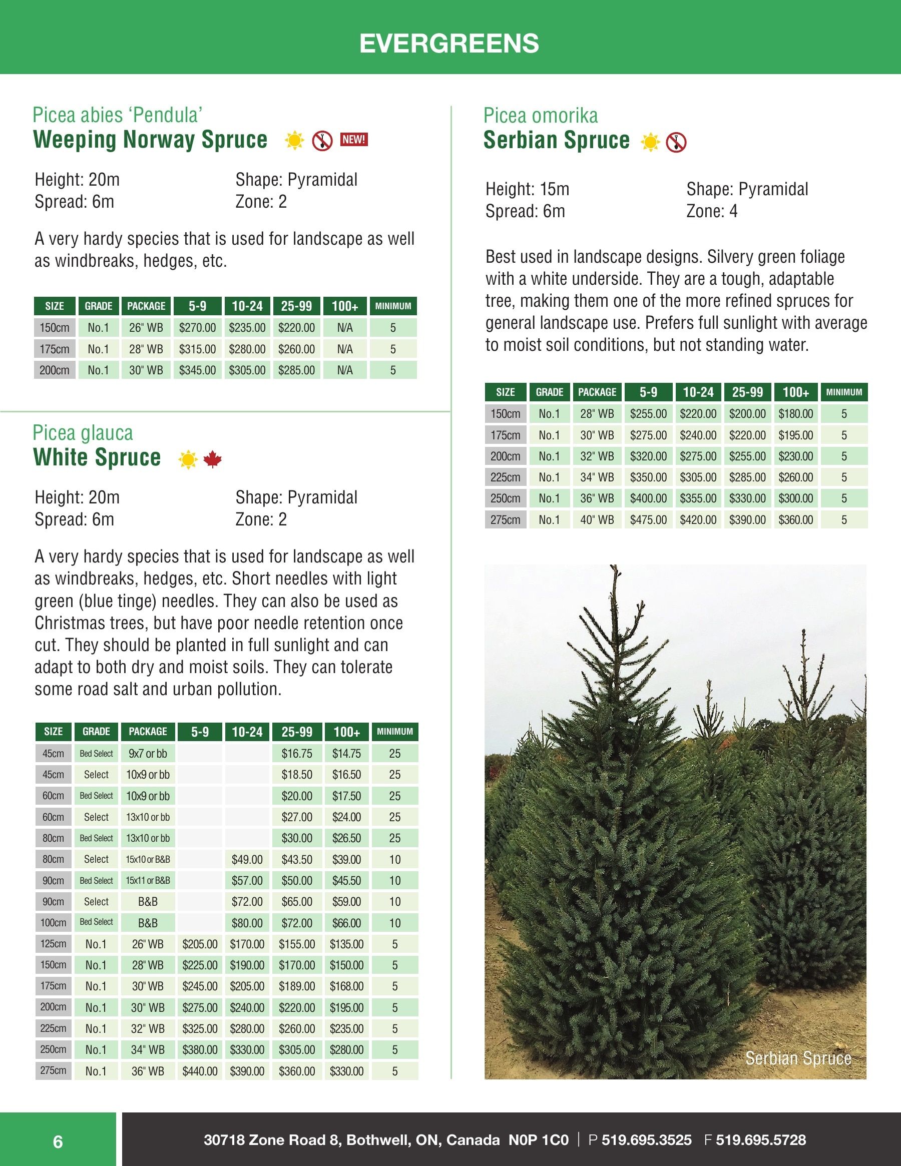 Sloan Nursery & Christmas Trees Annual Retail Catalog Flyer January 1 - December 31, 2026