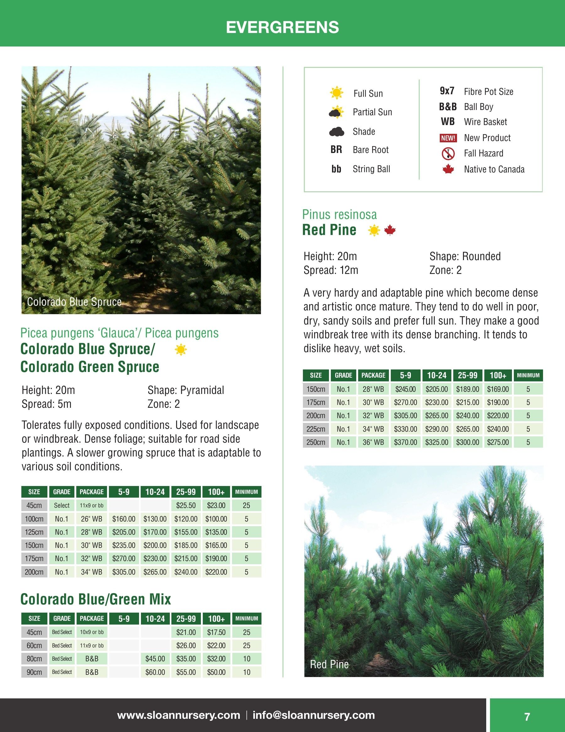 Sloan Nursery & Christmas Trees Annual Retail Catalog Flyer January 1 - December 31, 2026