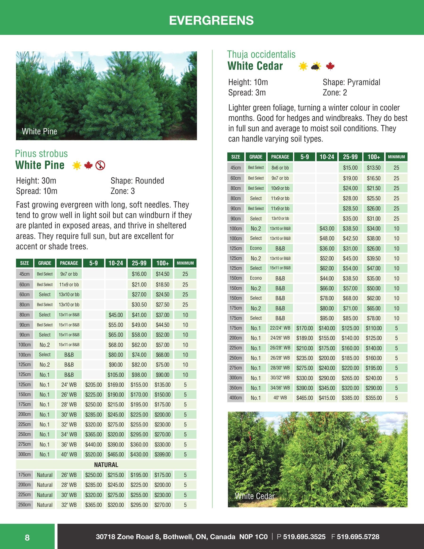 Sloan Nursery & Christmas Trees Annual Retail Catalog Flyer January 1 - December 31, 2026