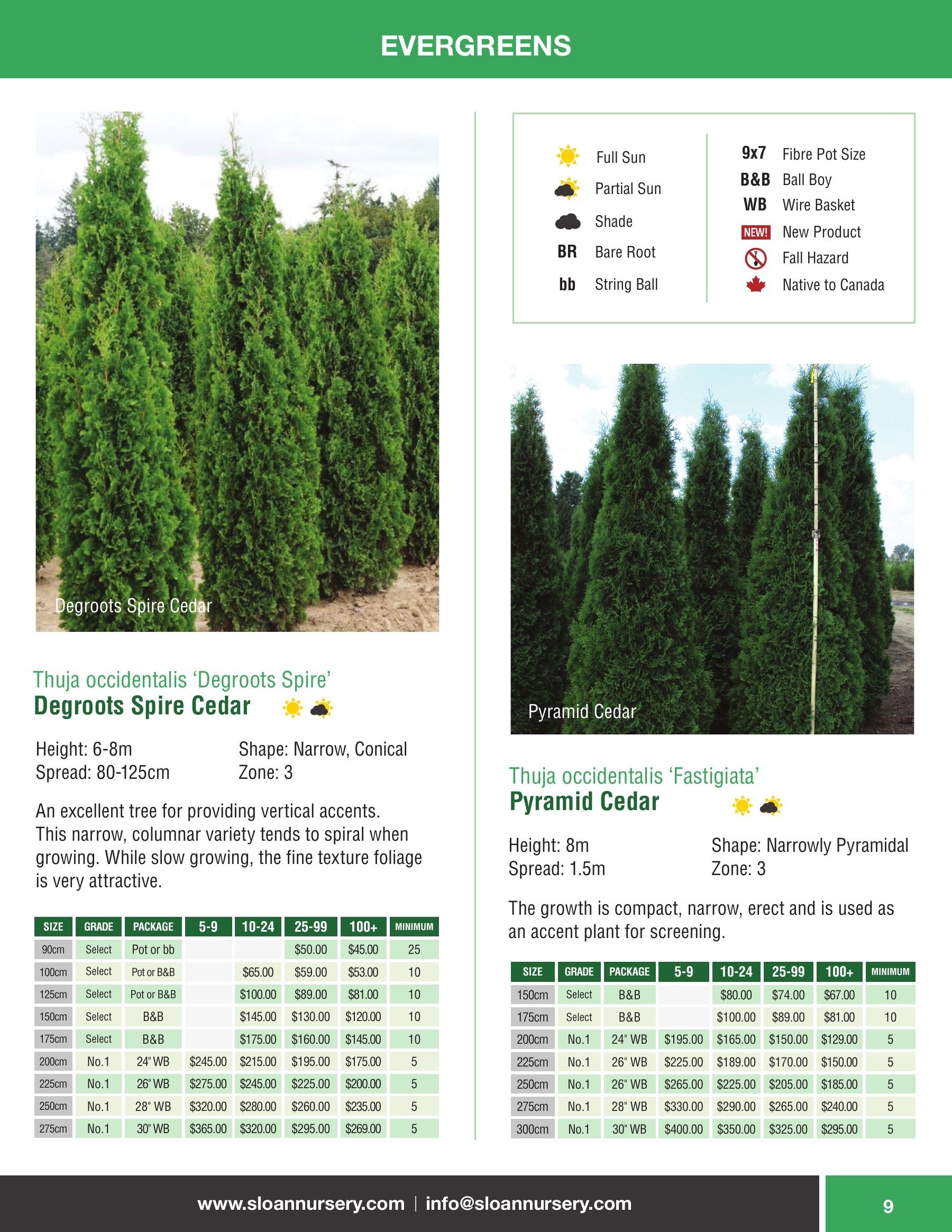 Sloan Nursery & Christmas Trees Annual Retail Catalog Flyer January 1 - December 31, 2026