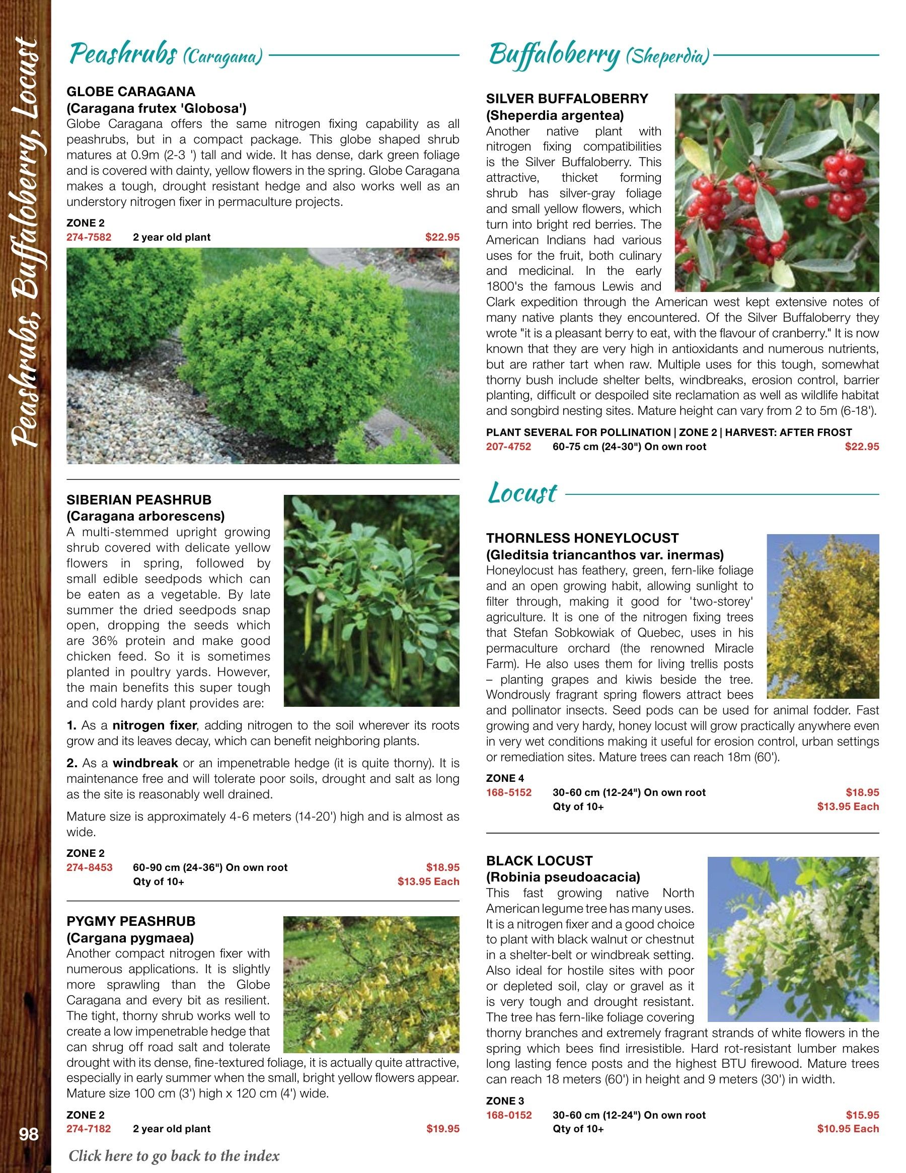 Whiffletree Farm & Nursery Annual Catalog Flyer January 1 - December 31, 2026