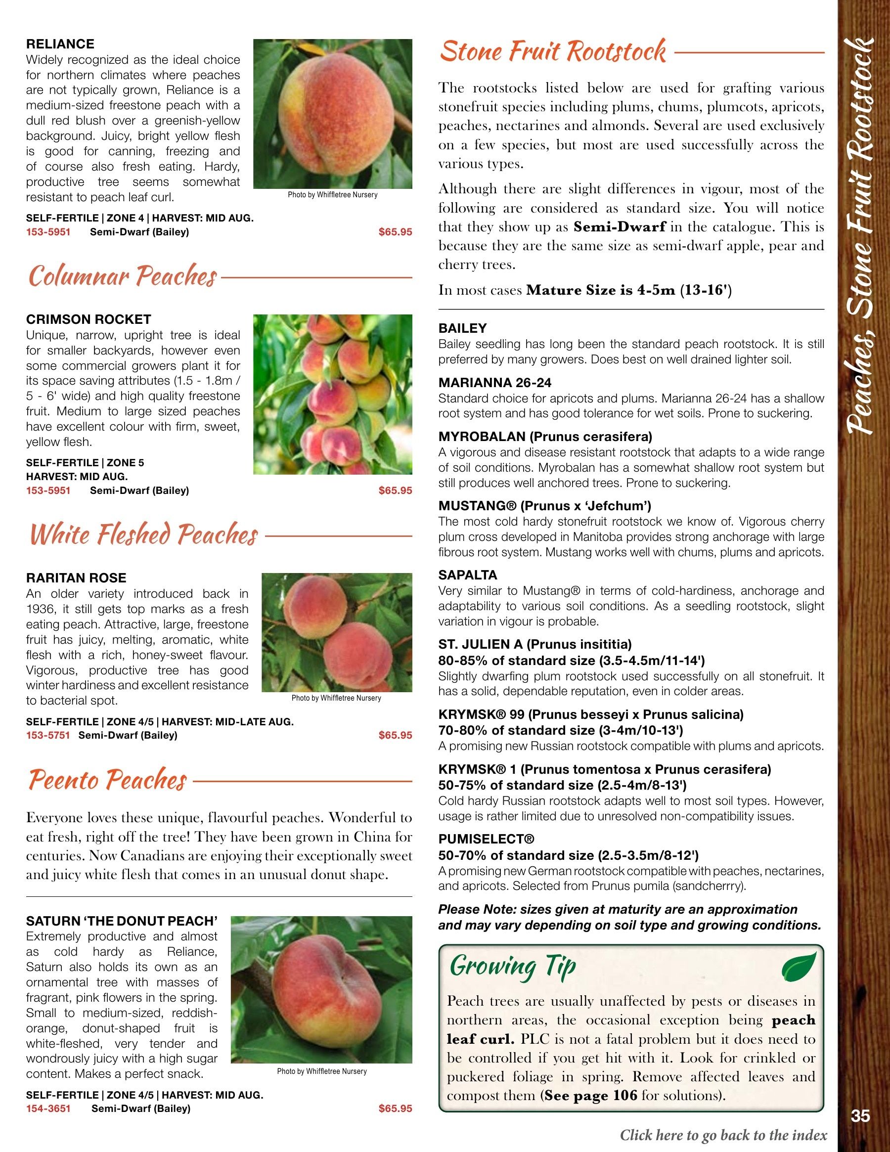 Whiffletree Farm & Nursery Annual Catalog Flyer January 1 - December 31, 2026