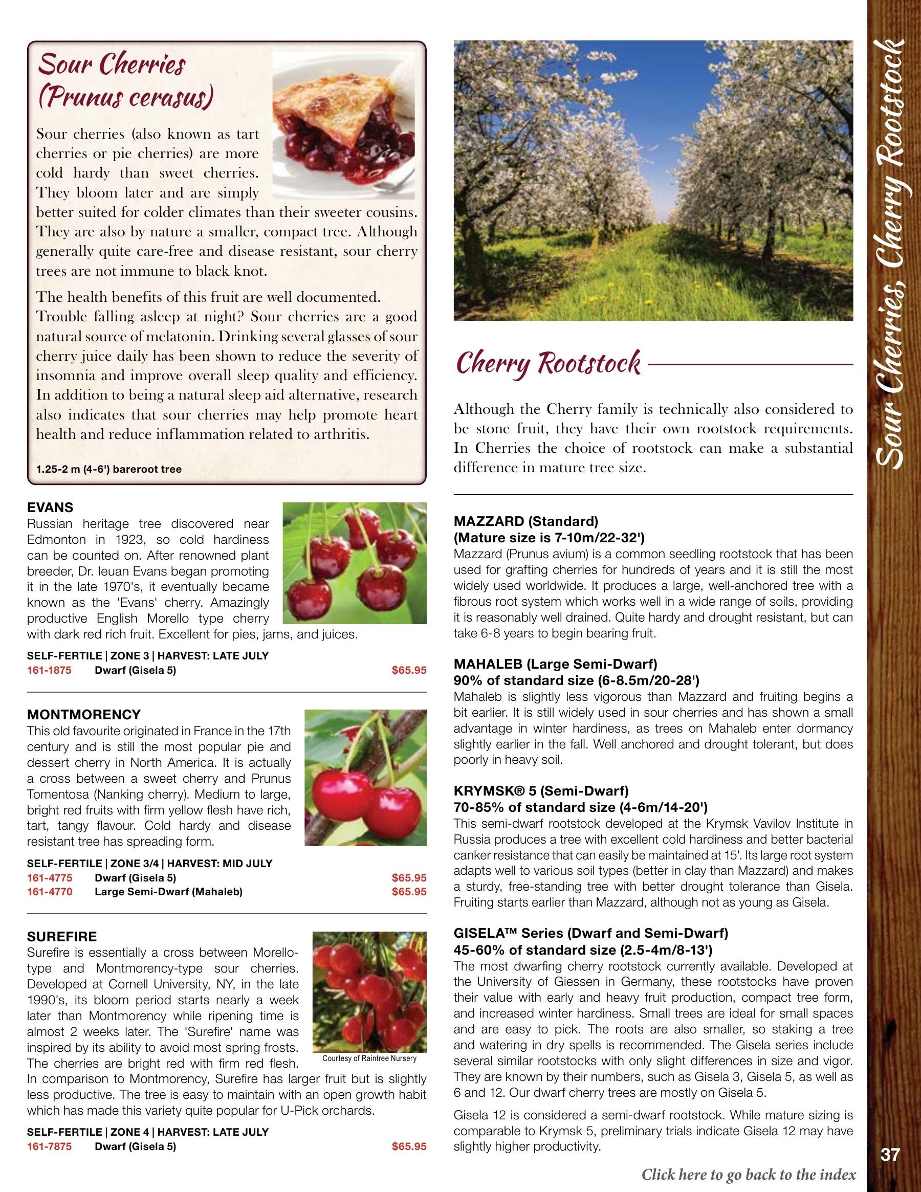 Whiffletree Farm & Nursery Annual Catalog Flyer January 1 - December 31, 2026