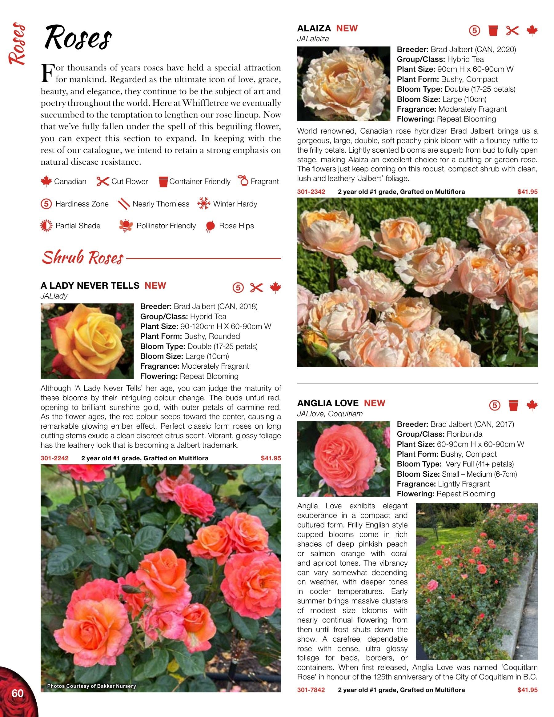 Whiffletree Farm & Nursery Annual Catalog Flyer January 1 - December 31, 2026
