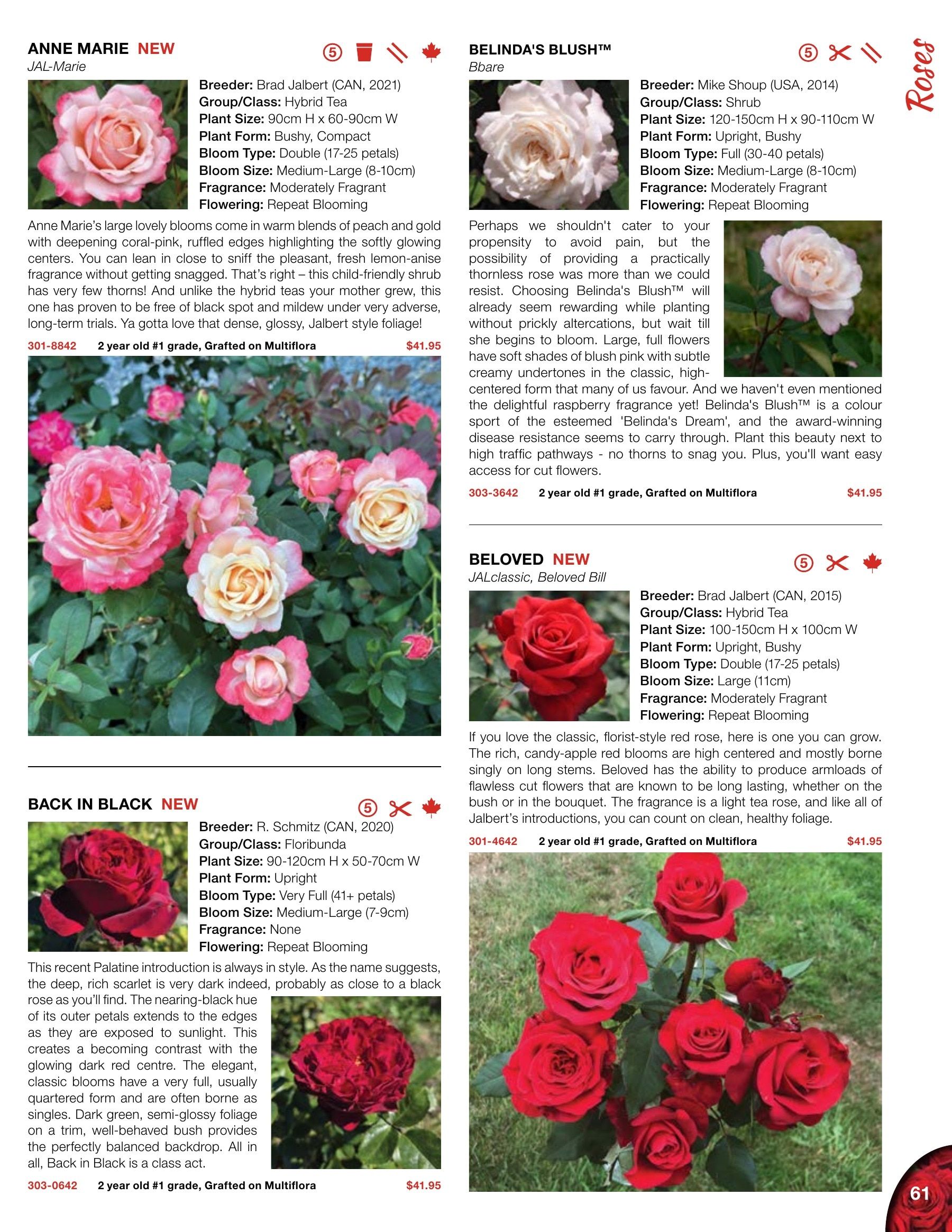 Whiffletree Farm & Nursery Annual Catalog Flyer January 1 - December 31, 2026