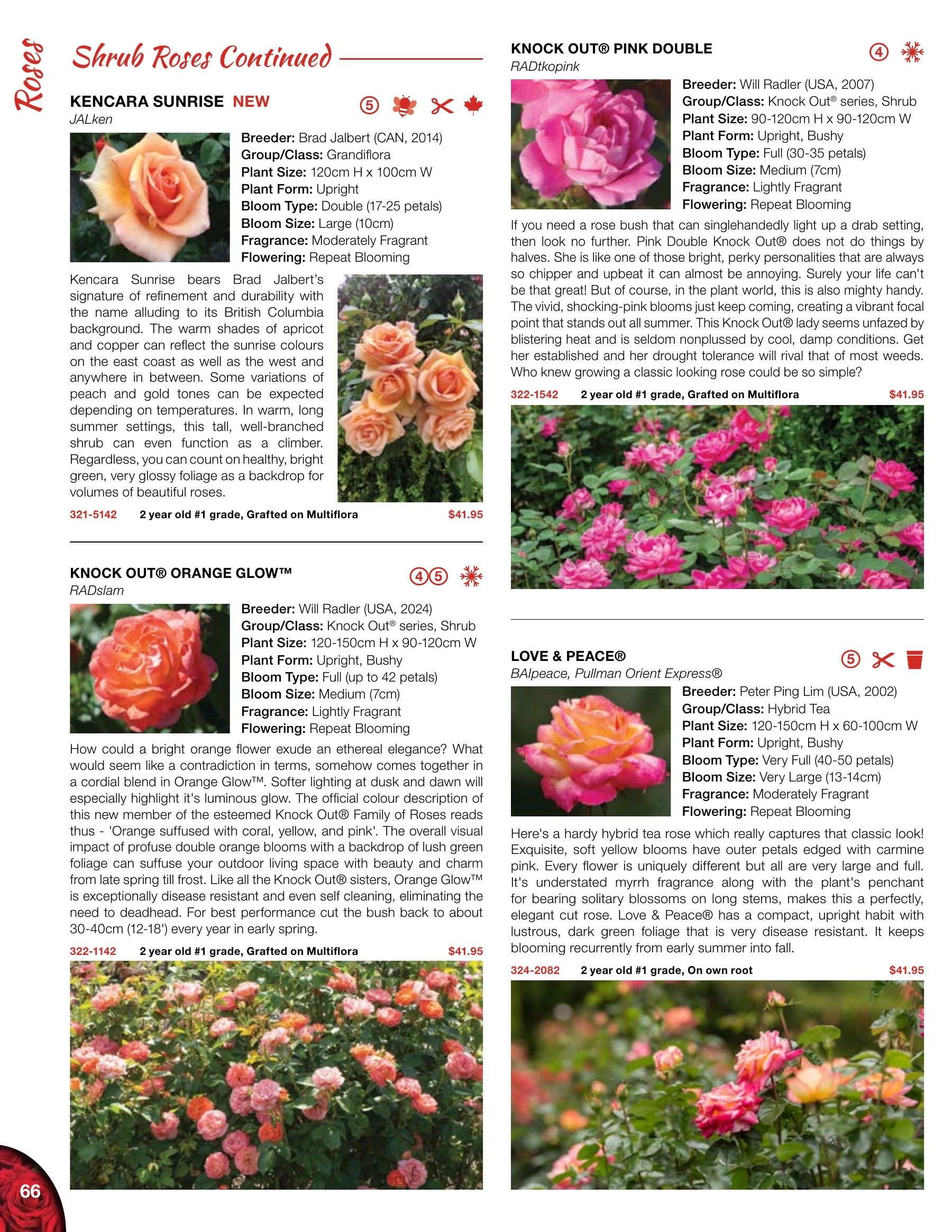 Whiffletree Farm & Nursery Annual Catalog Flyer January 1 - December 31, 2026