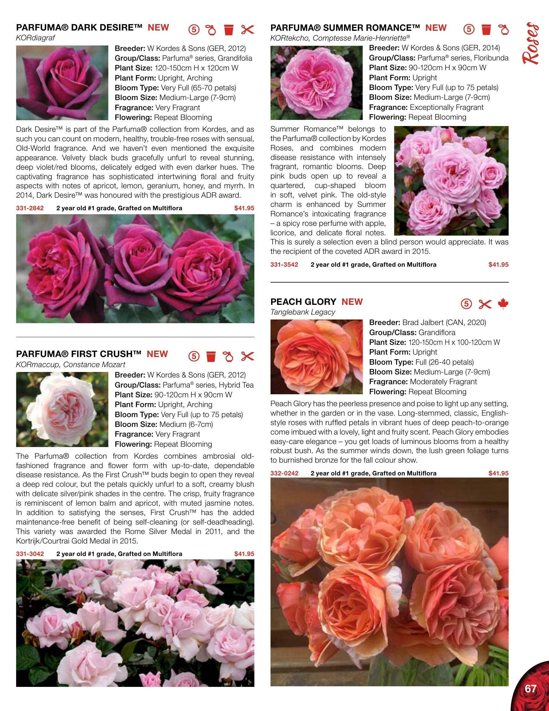 Whiffletree Farm & Nursery Annual Catalog Flyer January 1 - December 31, 2026