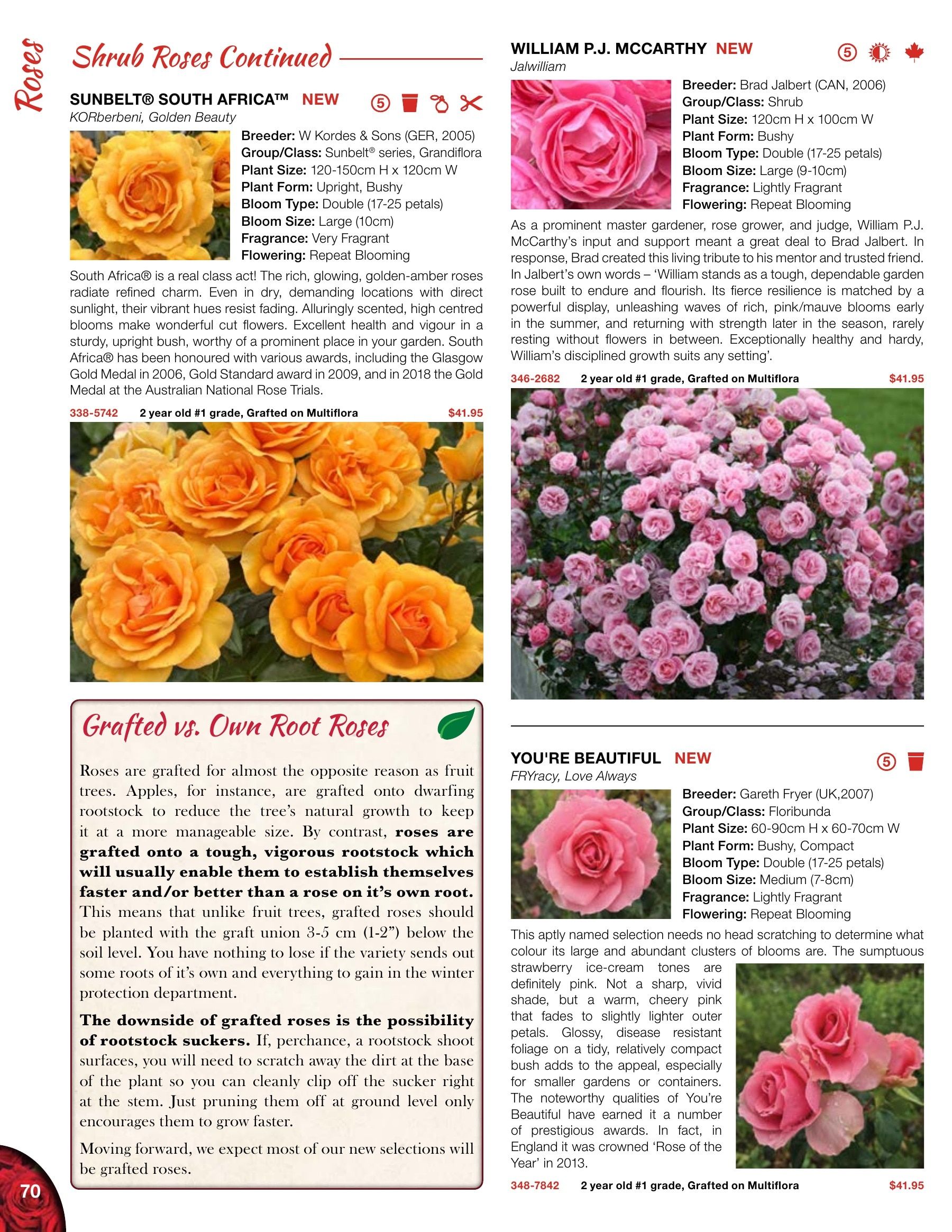 Whiffletree Farm & Nursery Annual Catalog Flyer January 1 - December 31, 2026