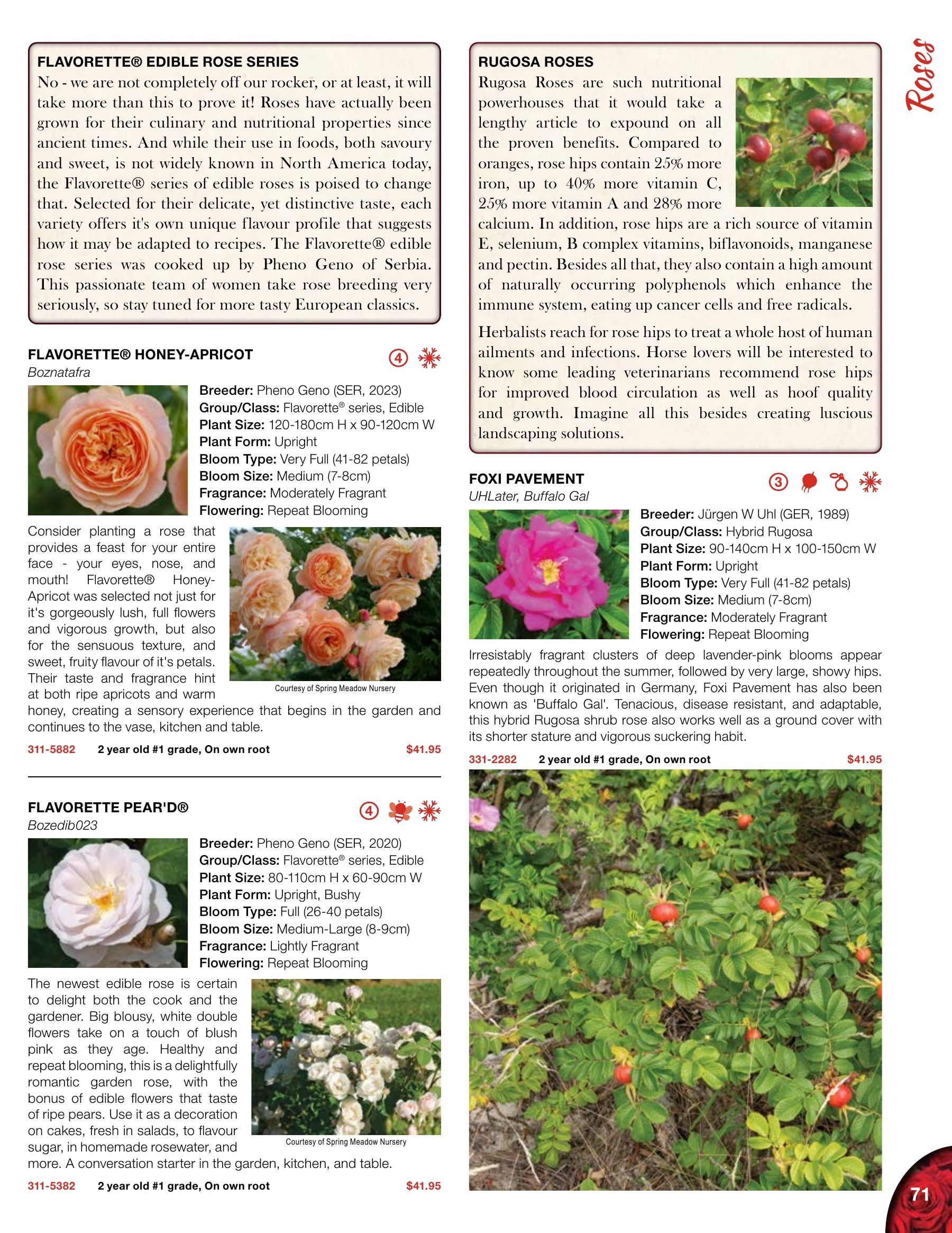 Whiffletree Farm & Nursery Annual Catalog Flyer January 1 - December 31, 2026