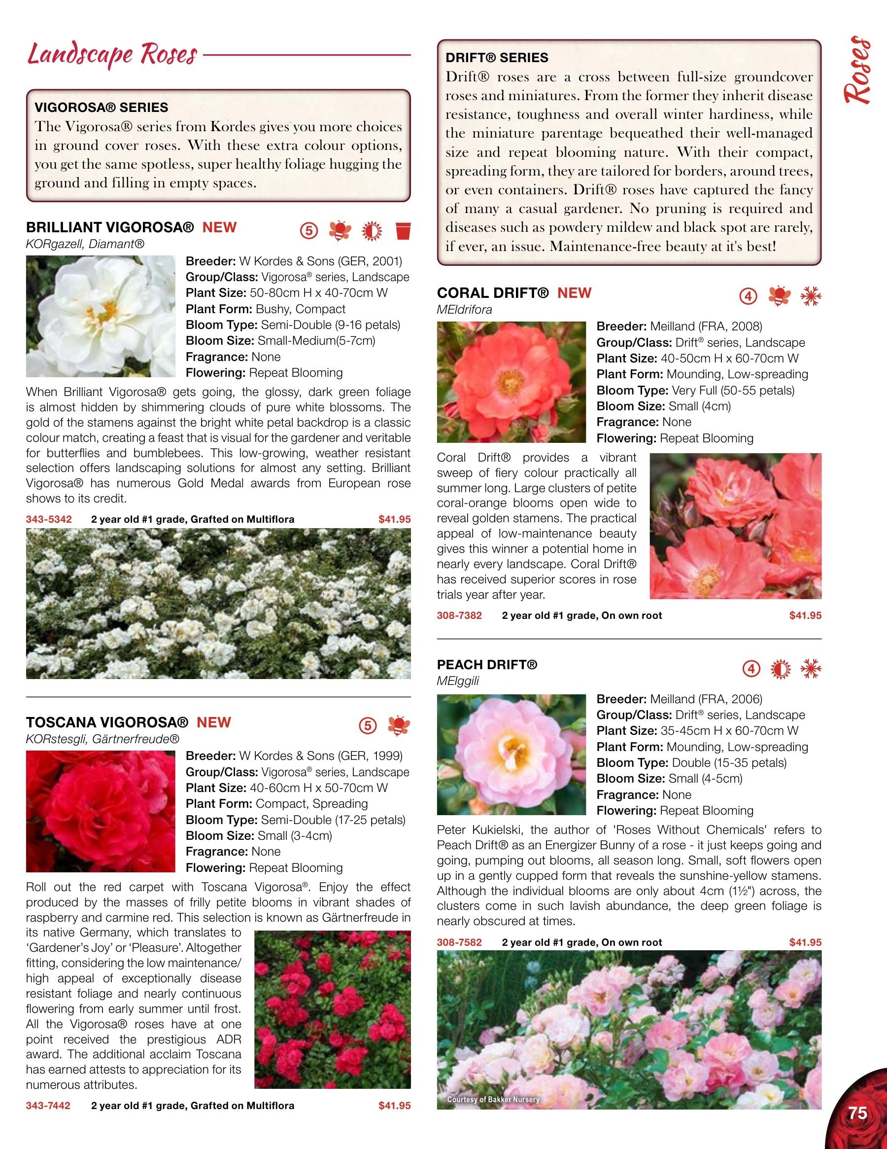 Whiffletree Farm & Nursery Annual Catalog Flyer January 1 - December 31, 2026