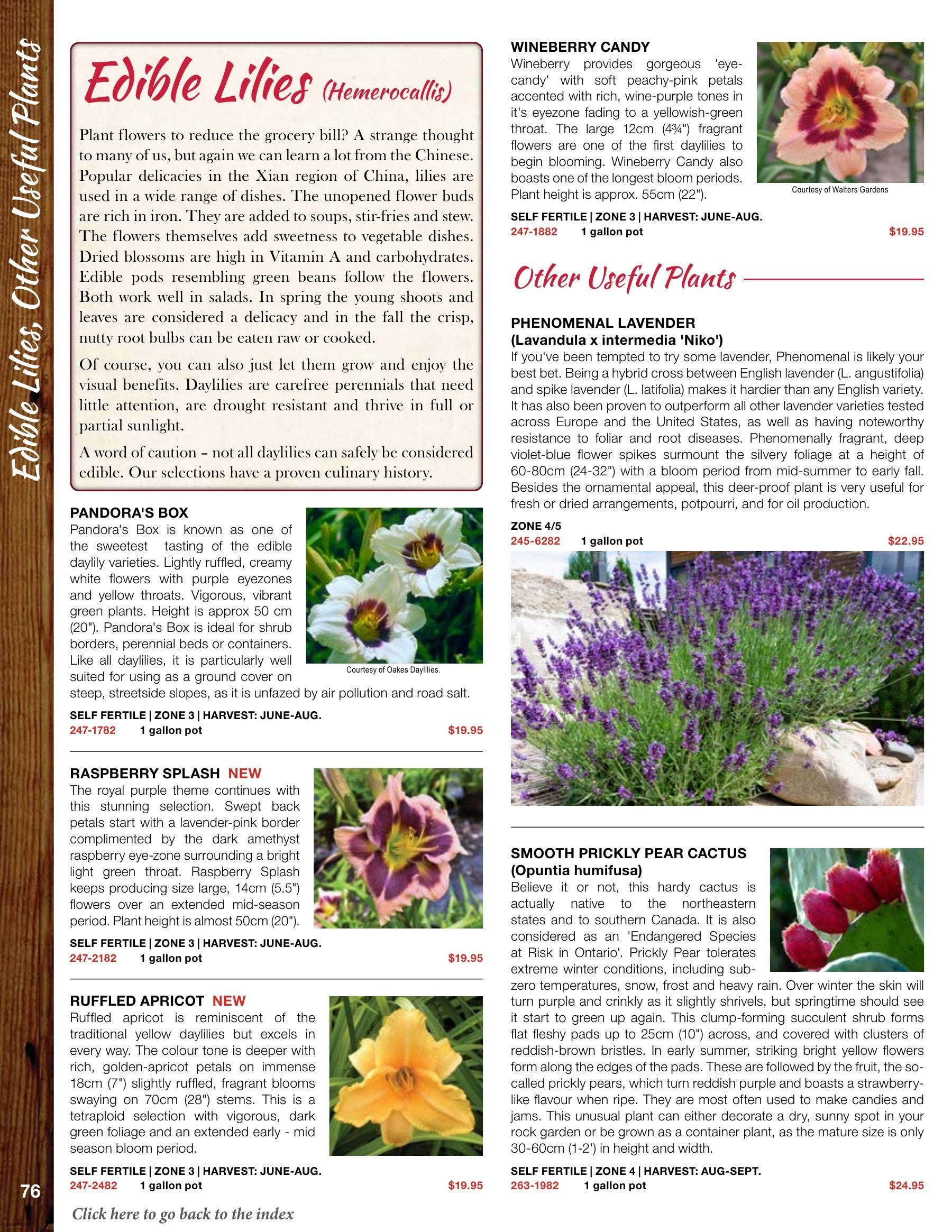 Whiffletree Farm & Nursery Annual Catalog Flyer January 1 - December 31, 2026