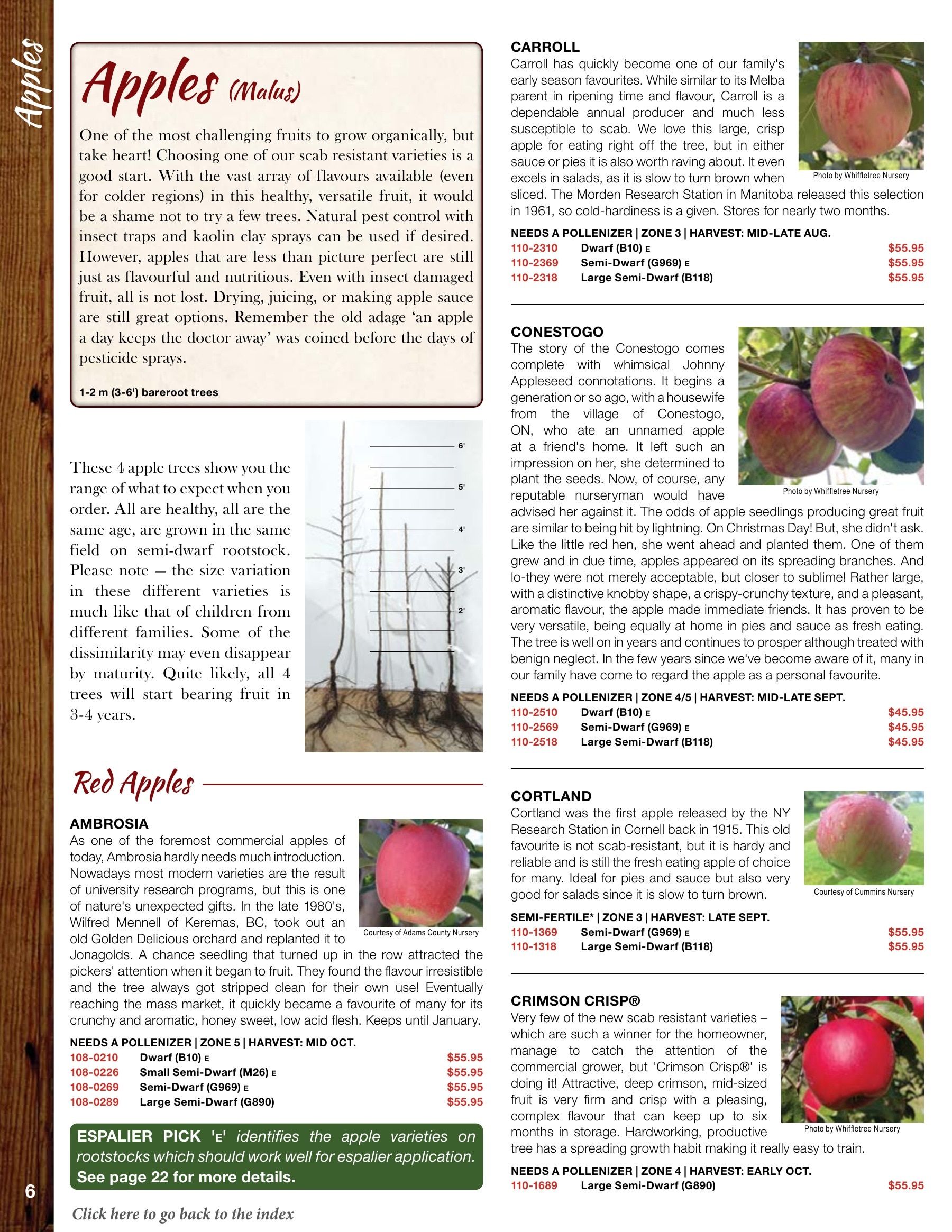 Whiffletree Farm & Nursery Annual Catalog Flyer January 1 - December 31, 2026