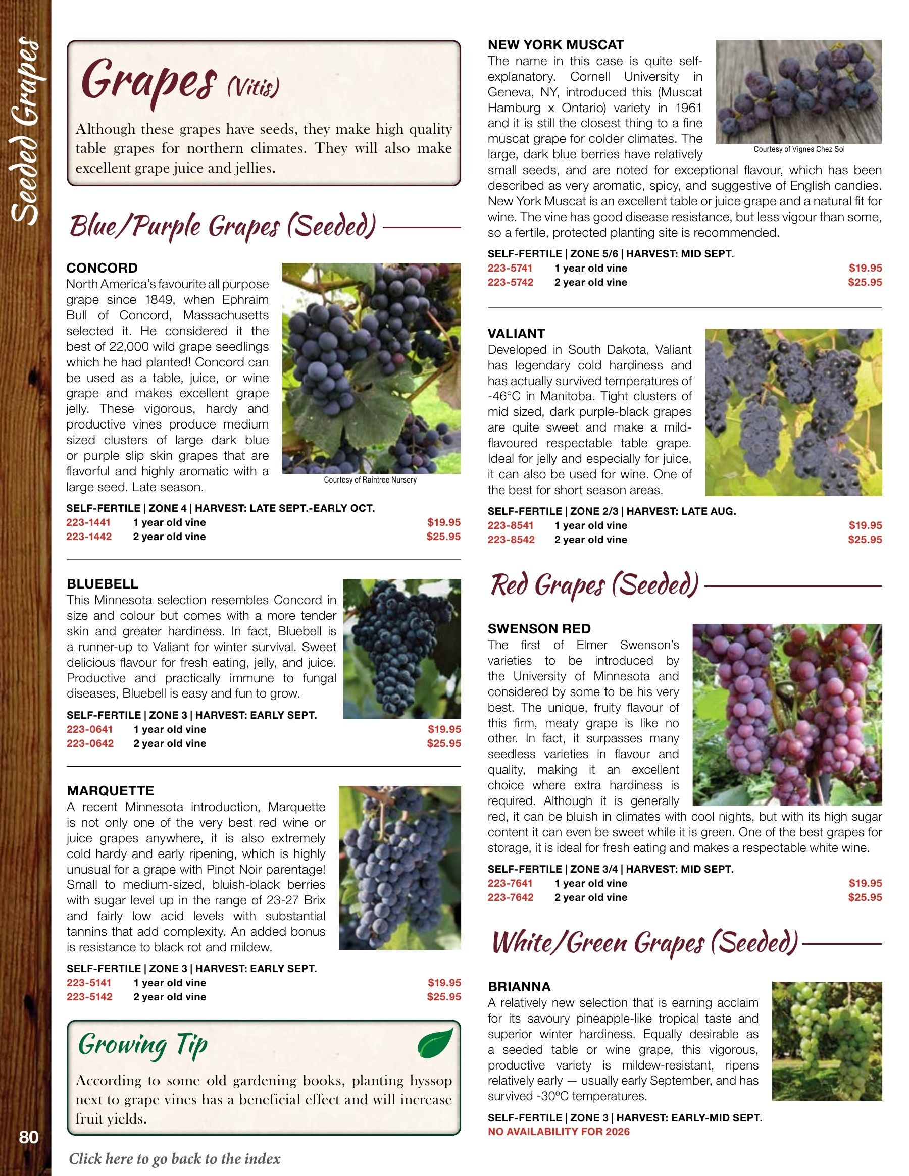 Whiffletree Farm & Nursery Annual Catalog Flyer January 1 - December 31, 2026