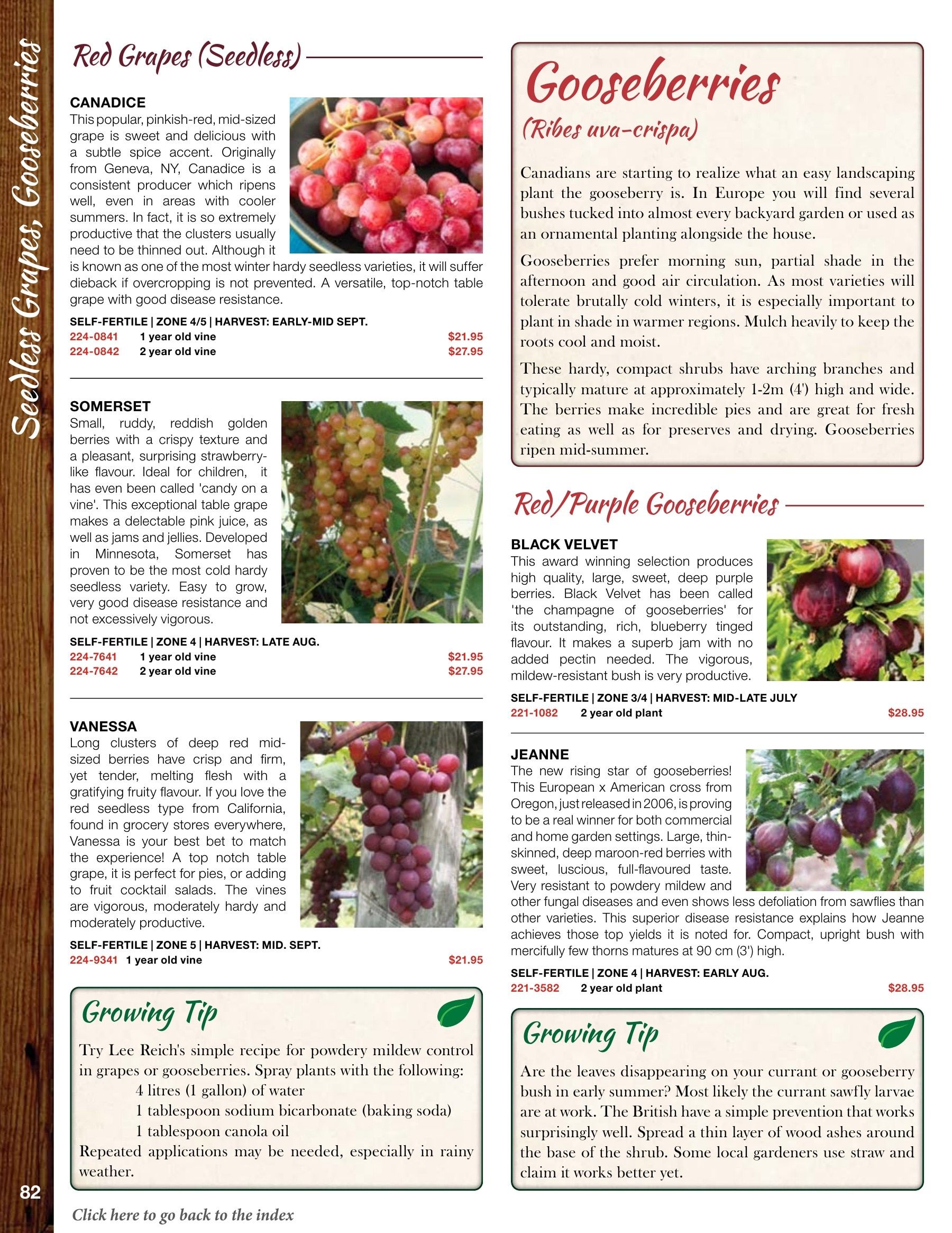 Whiffletree Farm & Nursery Annual Catalog Flyer January 1 - December 31, 2026