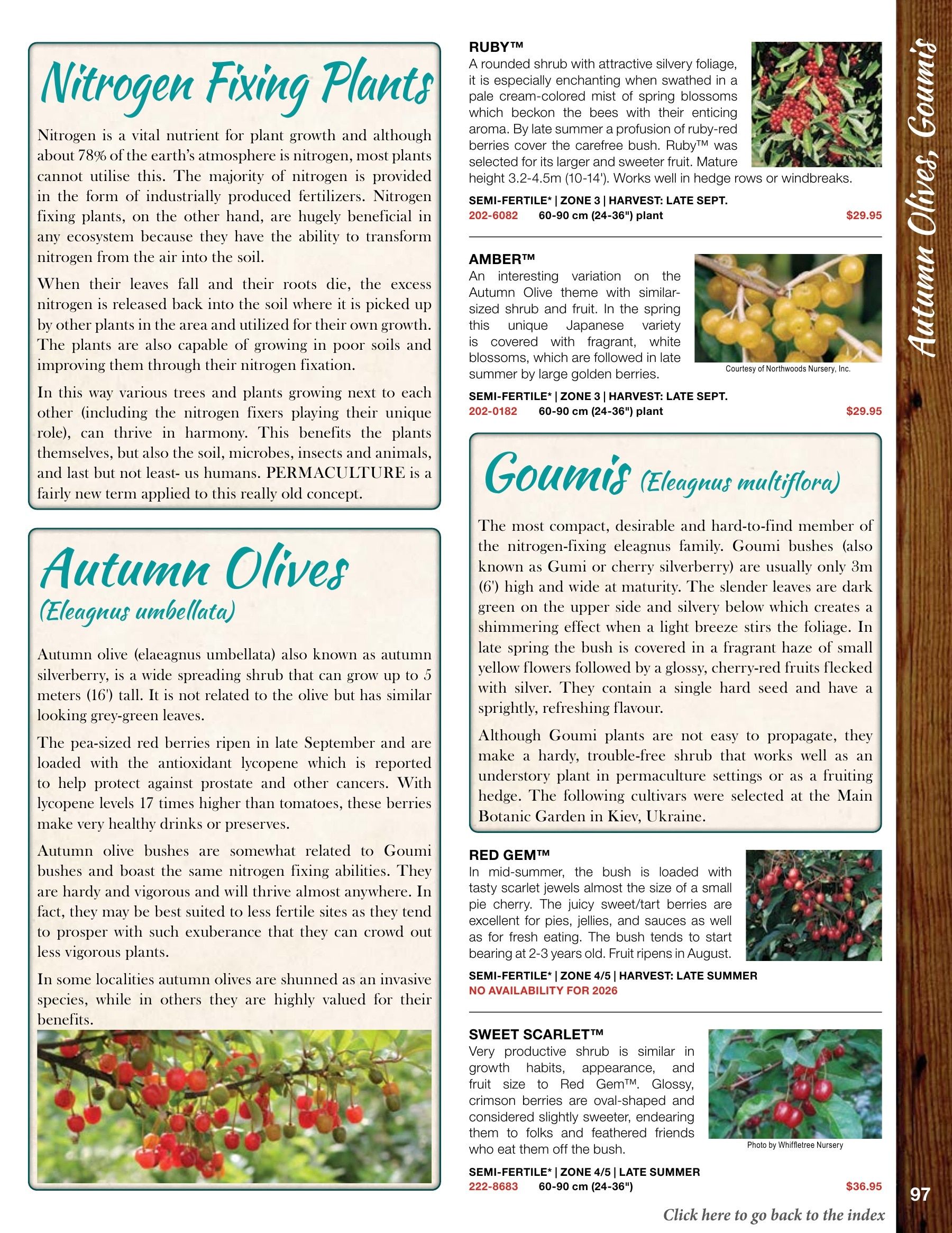 Whiffletree Farm & Nursery Annual Catalog Flyer January 1 - December 31, 2026