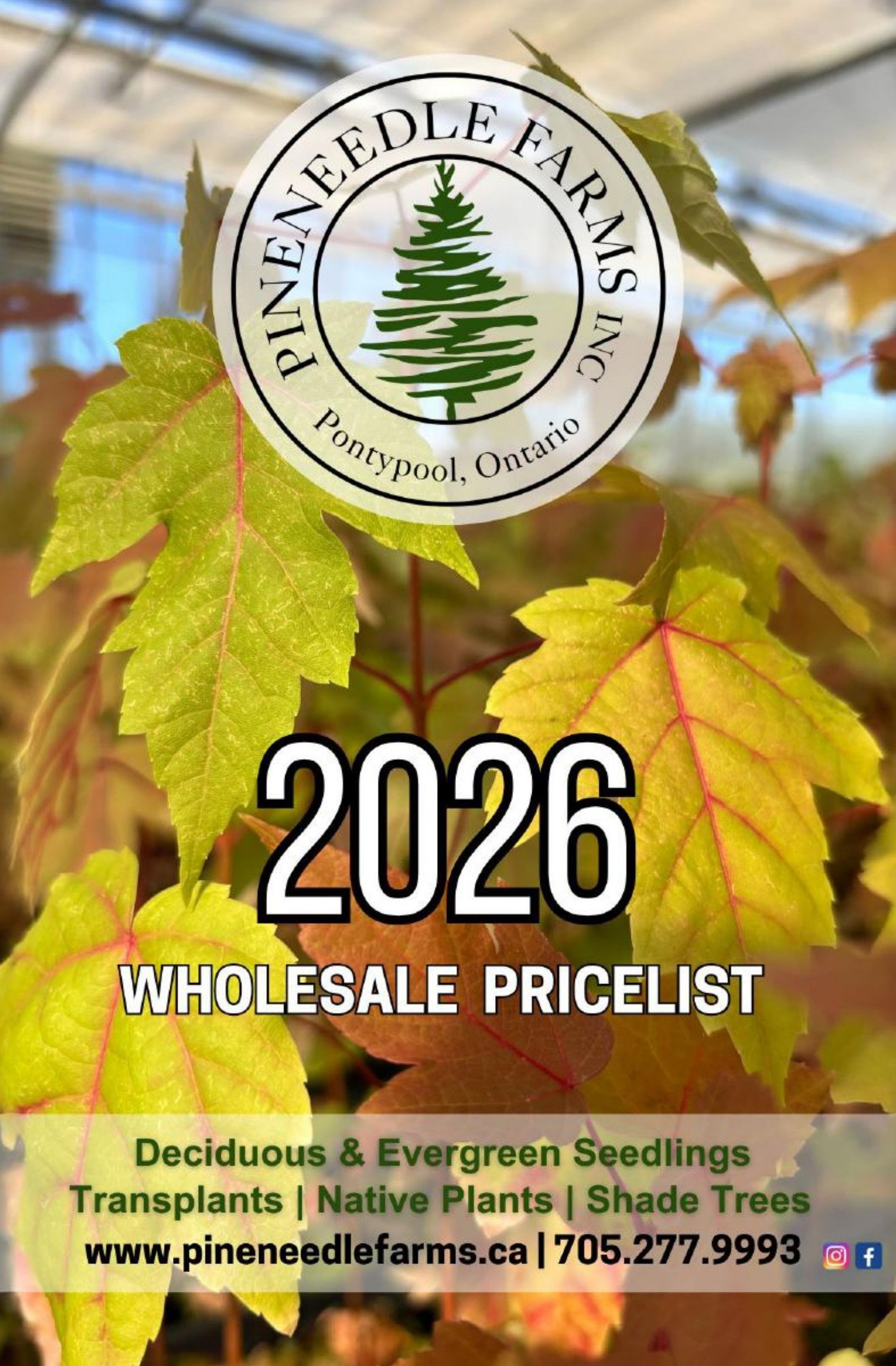 Pineneedle Farms Annual Catalog Flyer January 1 - December 31, 2026