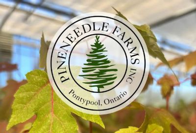 Pineneedle Farms Annual Catalog Flyer January 1 - December 31, 2026