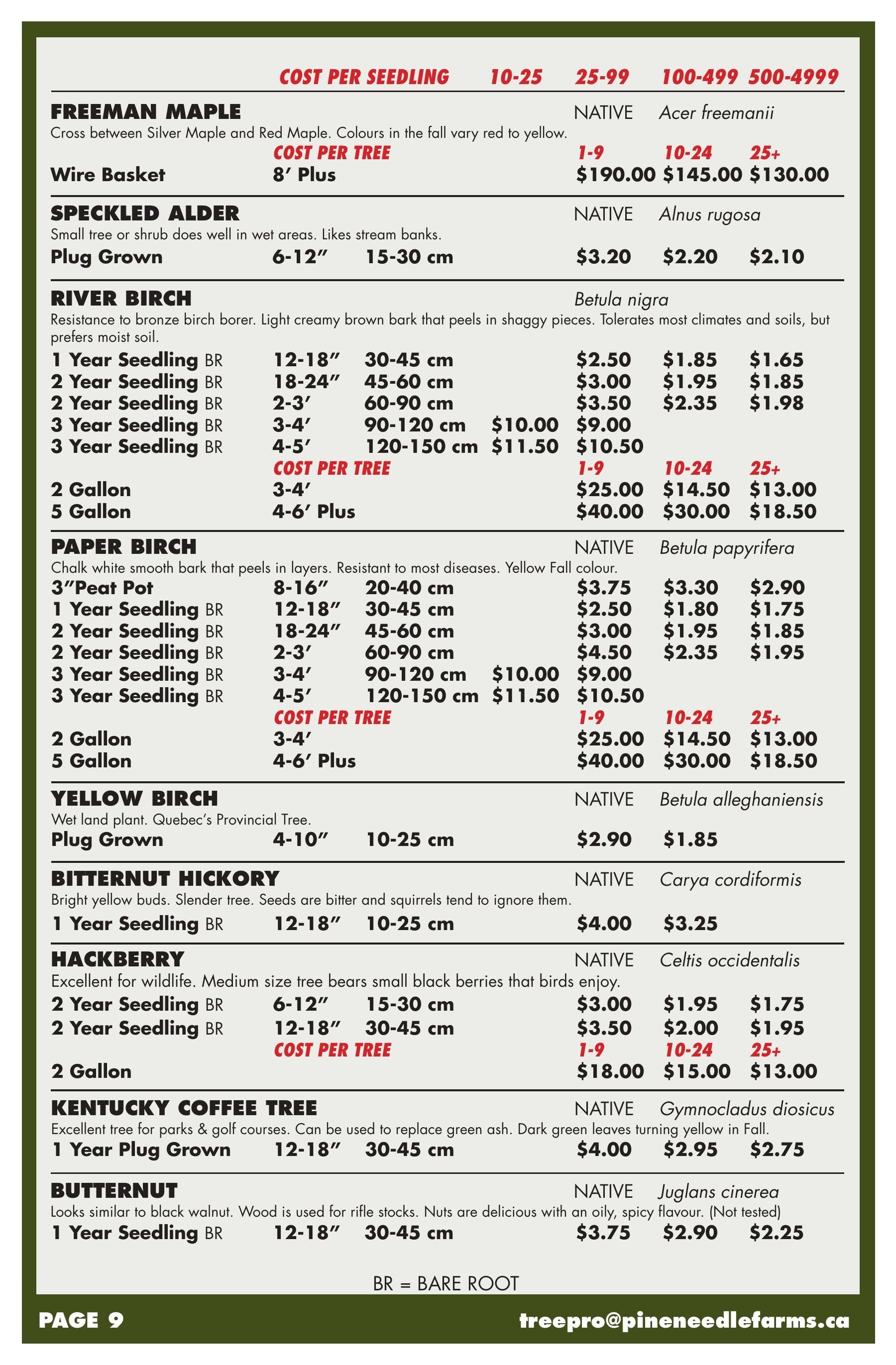 Pineneedle Farms Annual Catalog Flyer January 1 - December 31, 2026