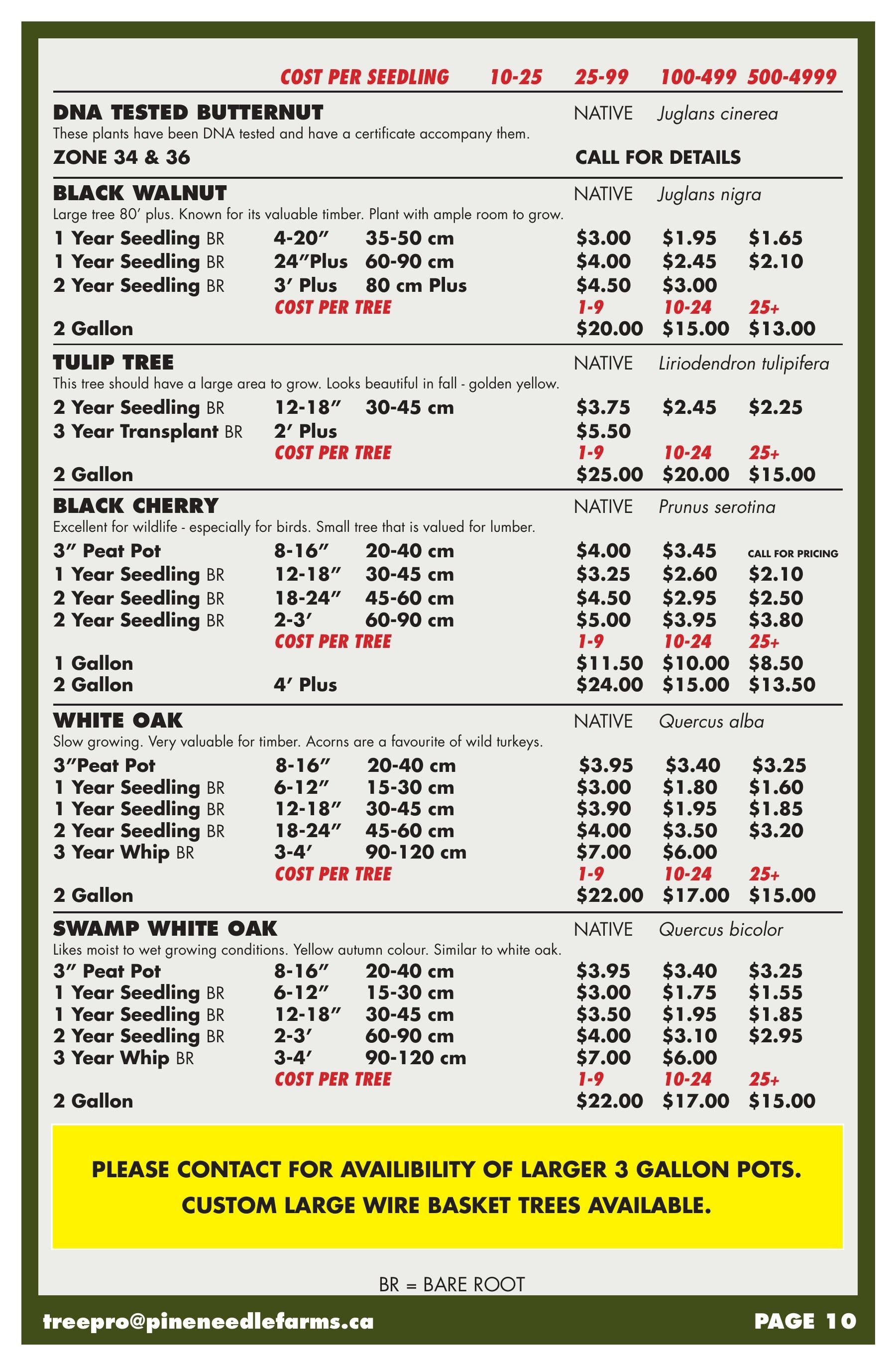 Pineneedle Farms Annual Catalog Flyer January 1 - December 31, 2026