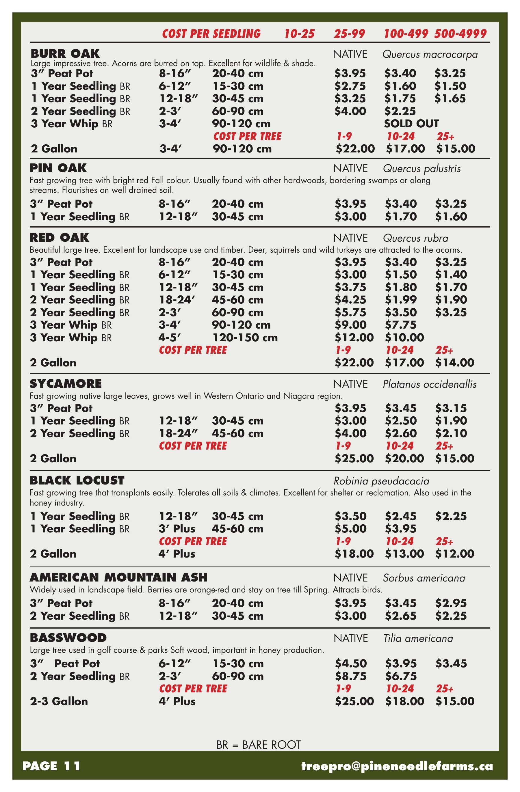 Pineneedle Farms Annual Catalog Flyer January 1 - December 31, 2026
