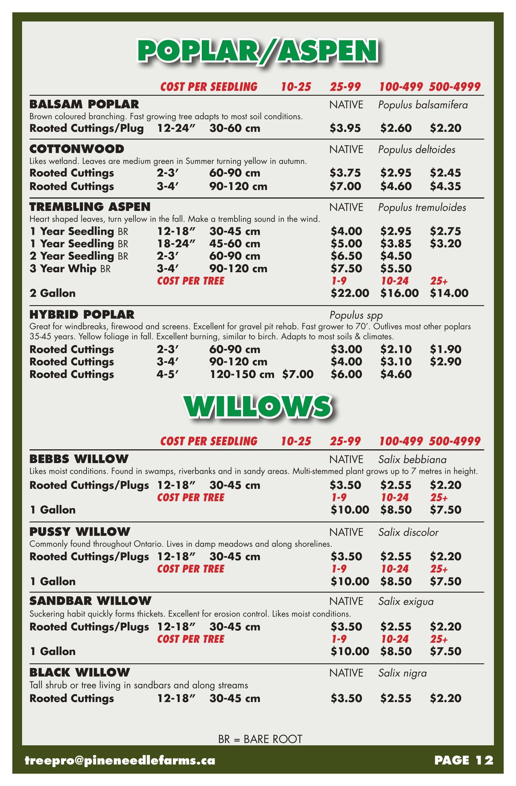 Pineneedle Farms Annual Catalog Flyer January 1 - December 31, 2026