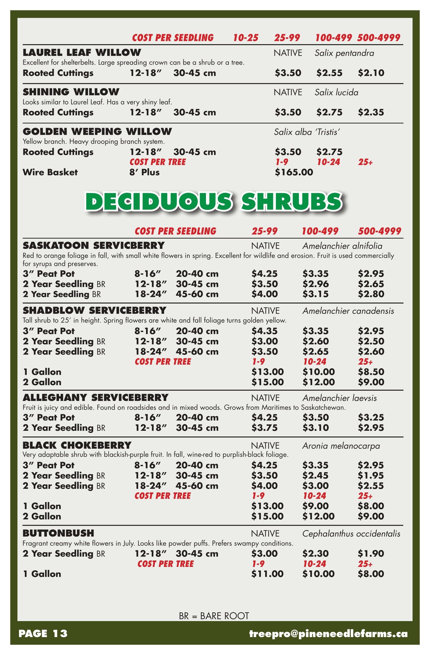 Pineneedle Farms Annual Catalog Flyer January 1 - December 31, 2026