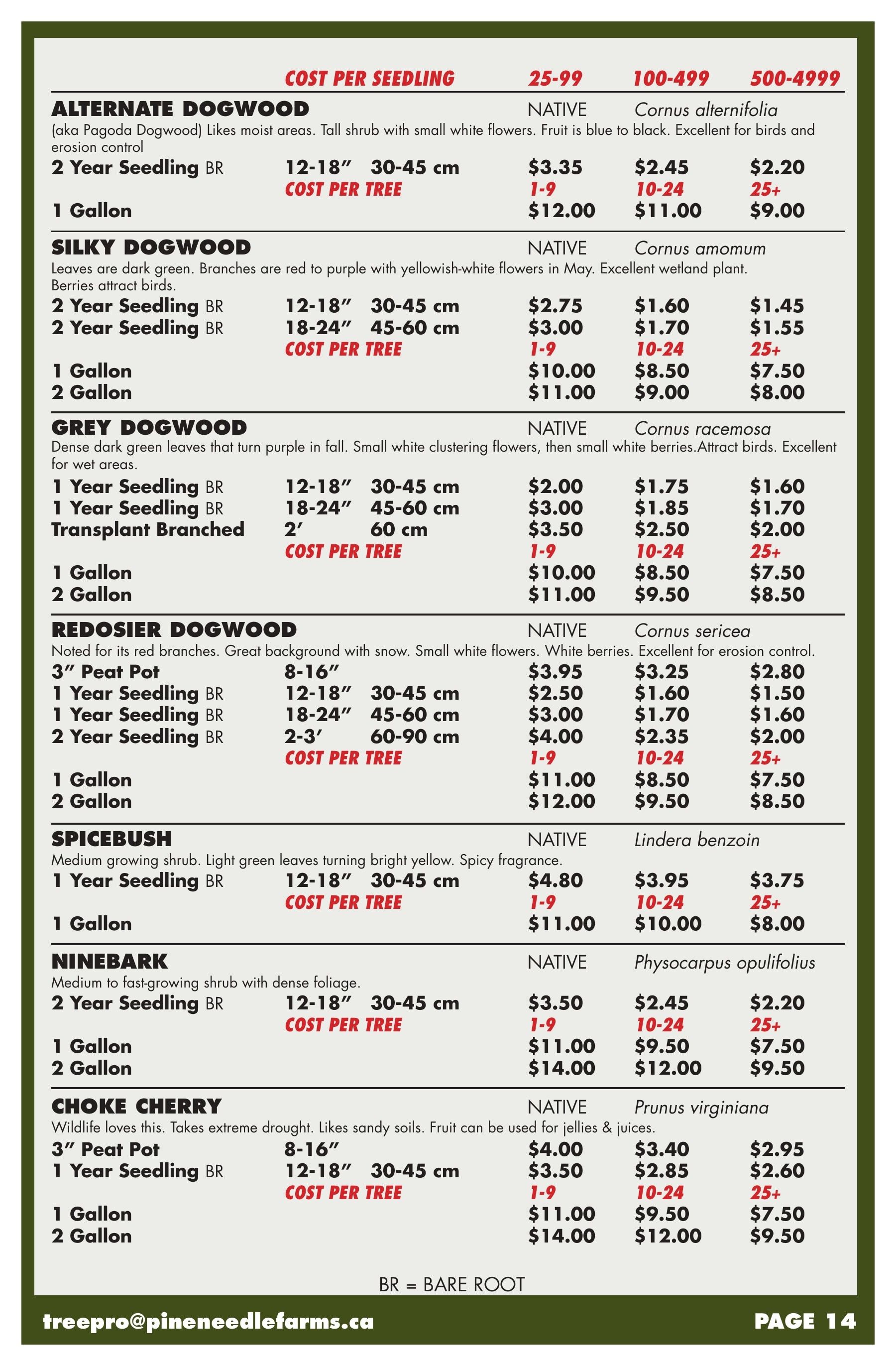 Pineneedle Farms Annual Catalog Flyer January 1 - December 31, 2026