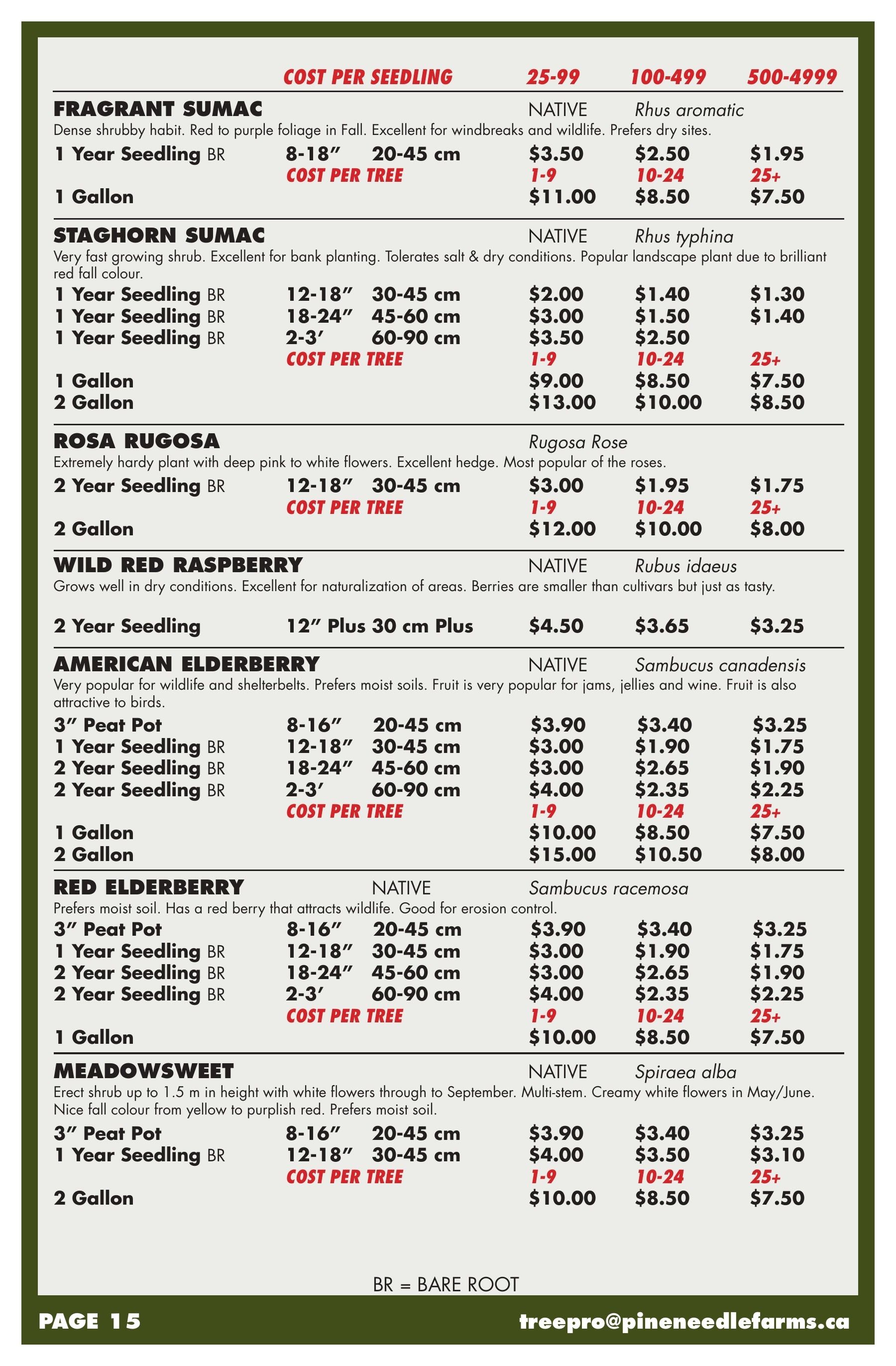 Pineneedle Farms Annual Catalog Flyer January 1 - December 31, 2026
