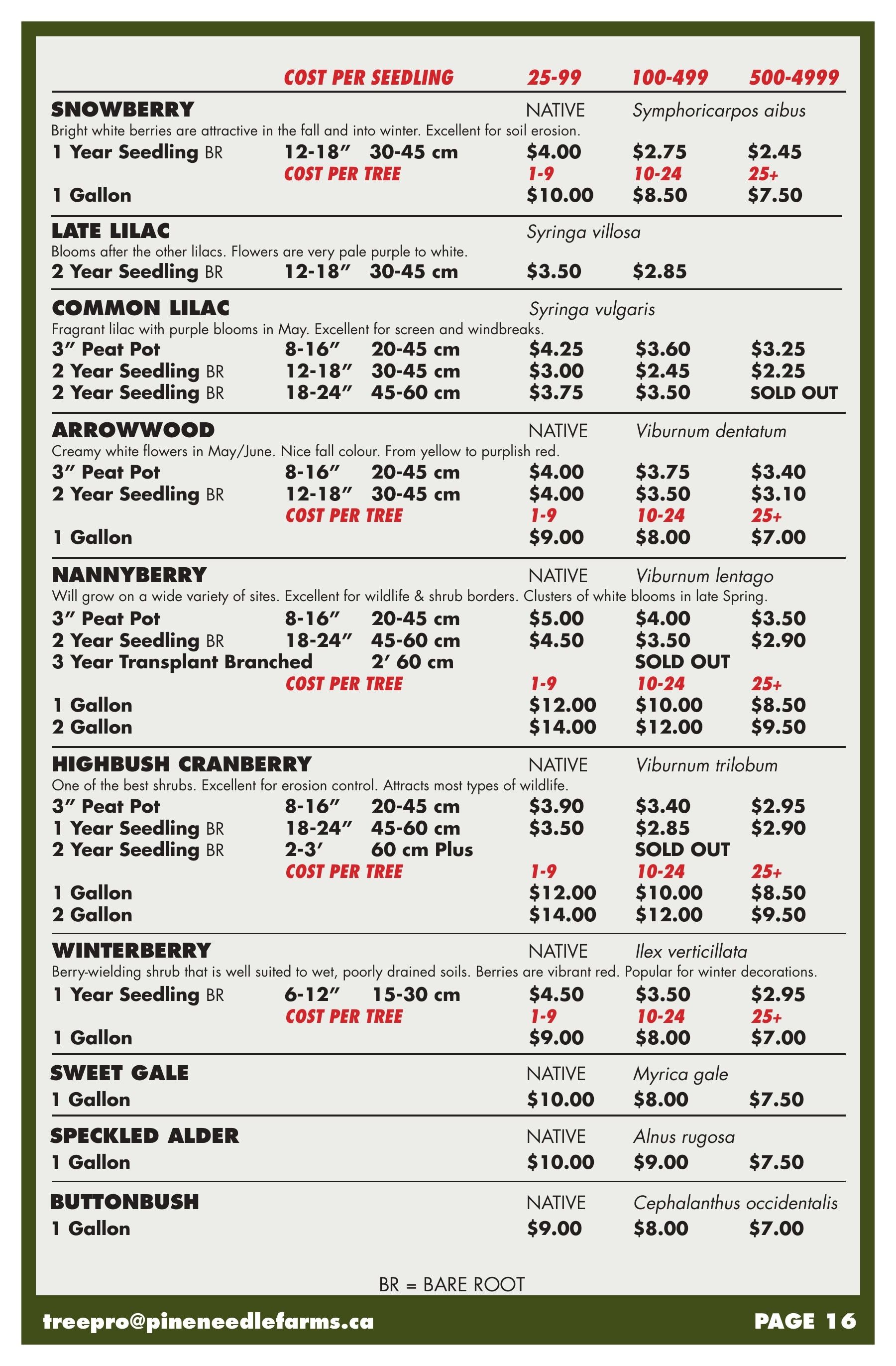 Pineneedle Farms Annual Catalog Flyer January 1 - December 31, 2026