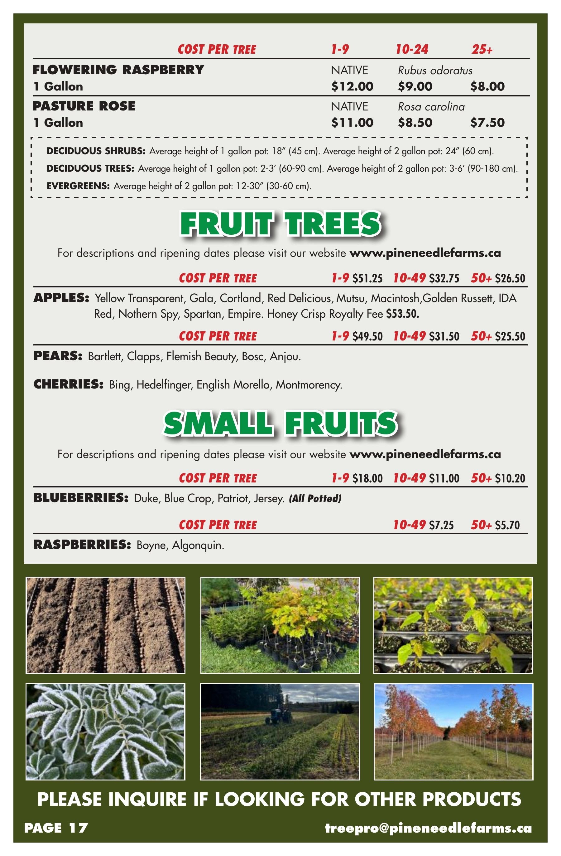 Pineneedle Farms Annual Catalog Flyer January 1 - December 31, 2026