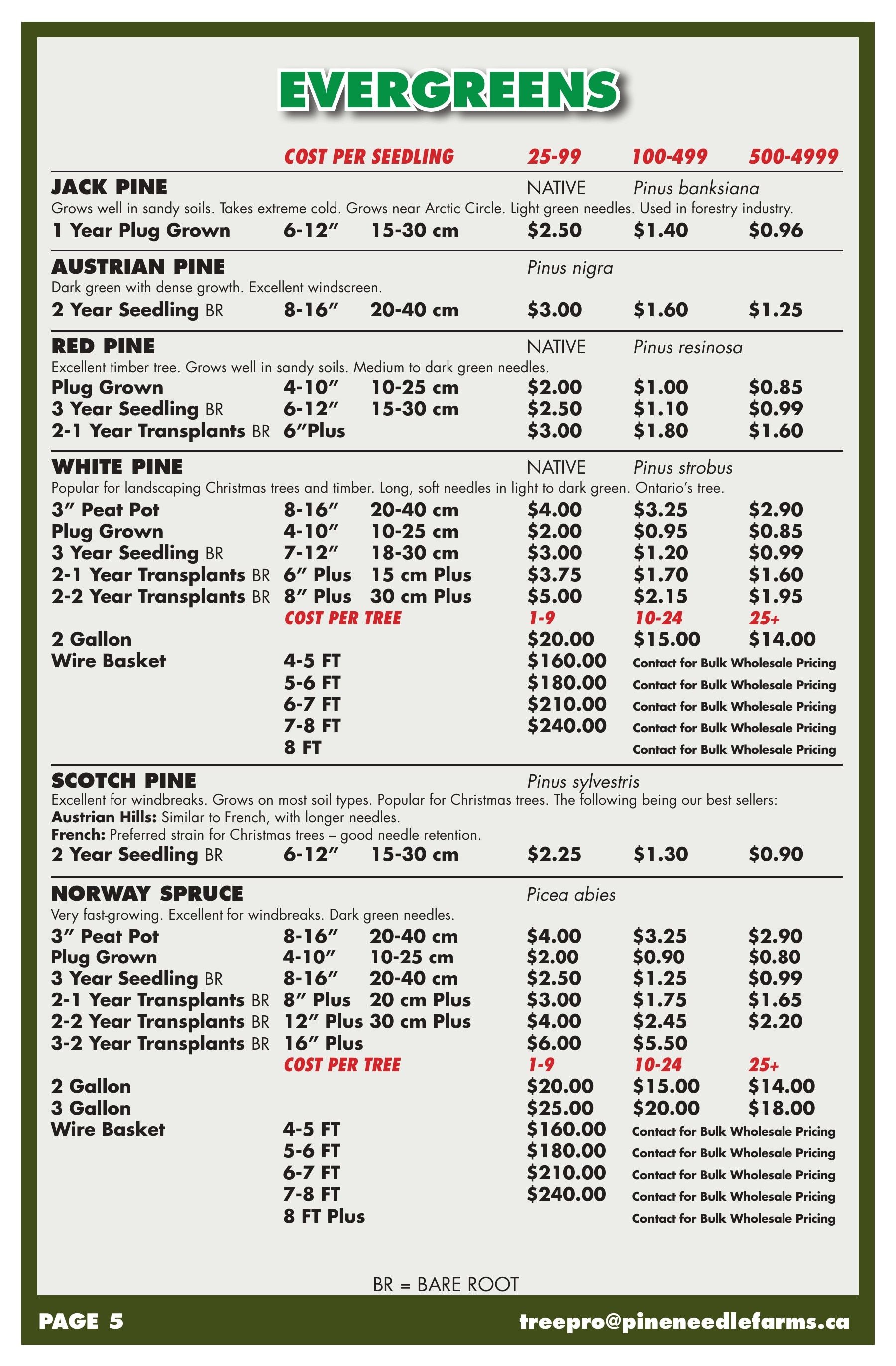 Pineneedle Farms Annual Catalog Flyer January 1 - December 31, 2026