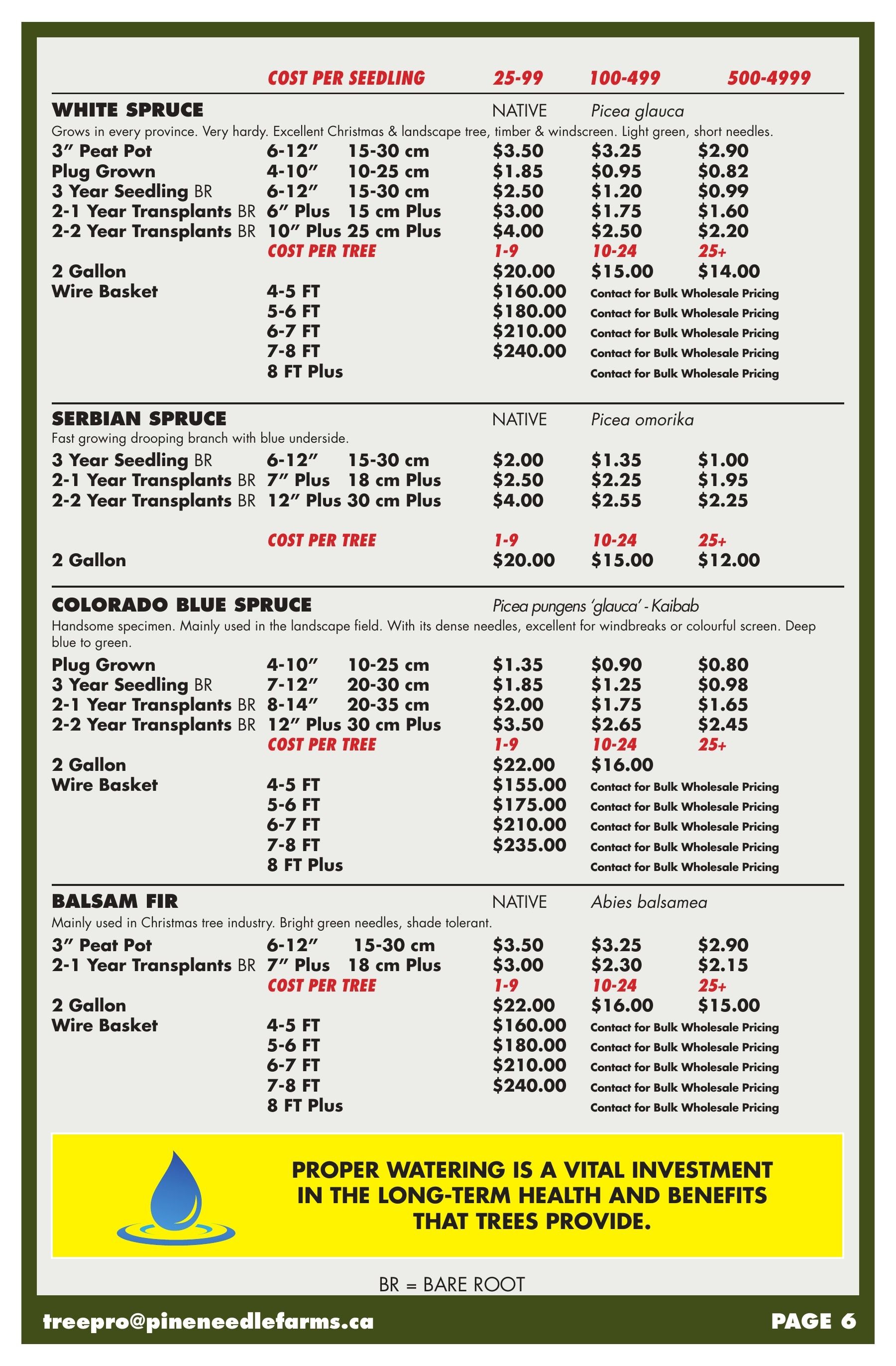 Pineneedle Farms Annual Catalog Flyer January 1 - December 31, 2026