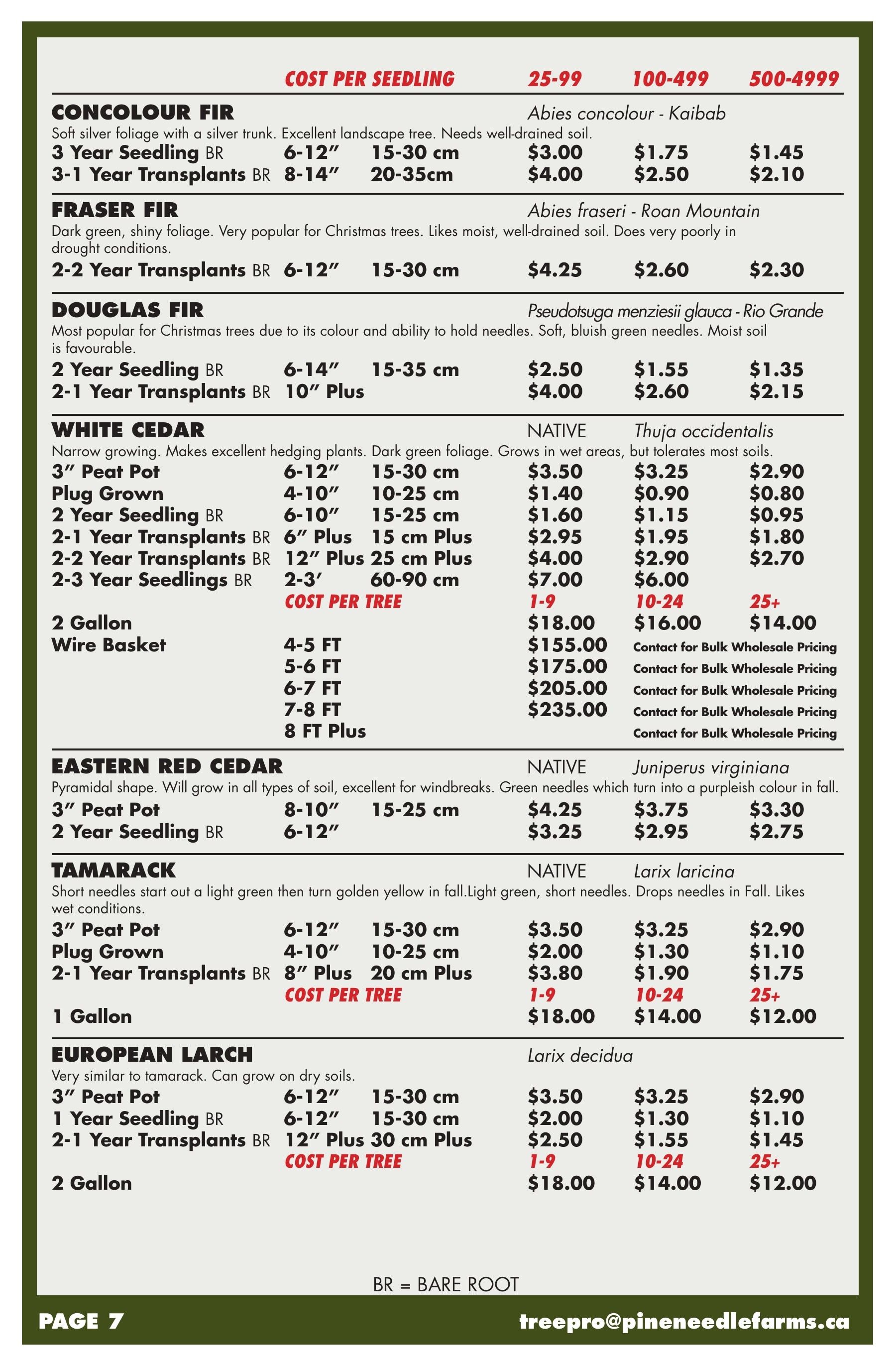 Pineneedle Farms Annual Catalog Flyer January 1 - December 31, 2026