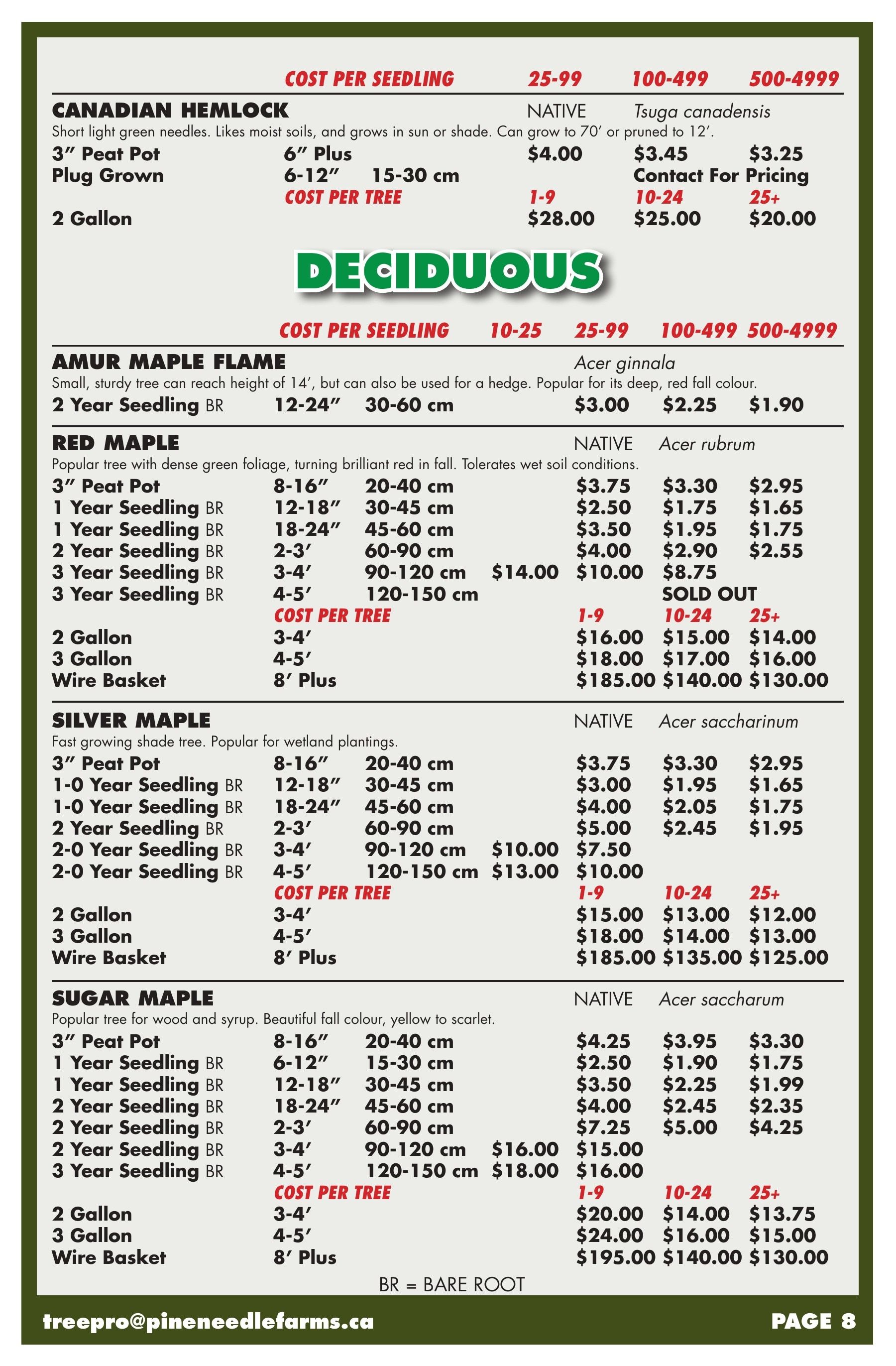 Pineneedle Farms Annual Catalog Flyer January 1 - December 31, 2026