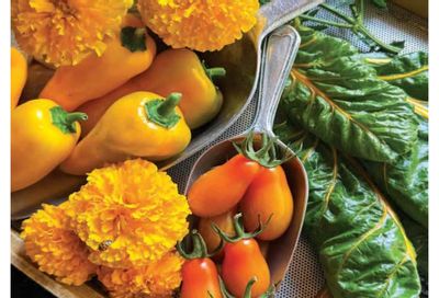 William Dam Seeds Annual Catalog Flyer January 1 - October 31, 2026