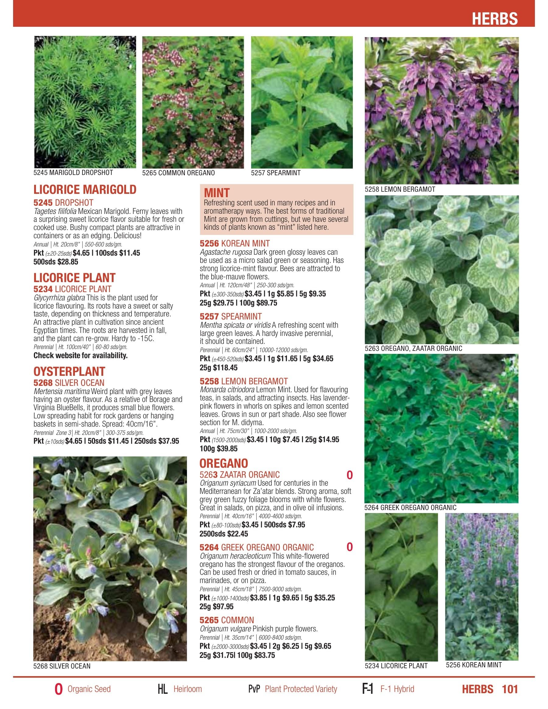 William Dam Seeds Annual Catalog Flyer January 1 - October 31, 2026