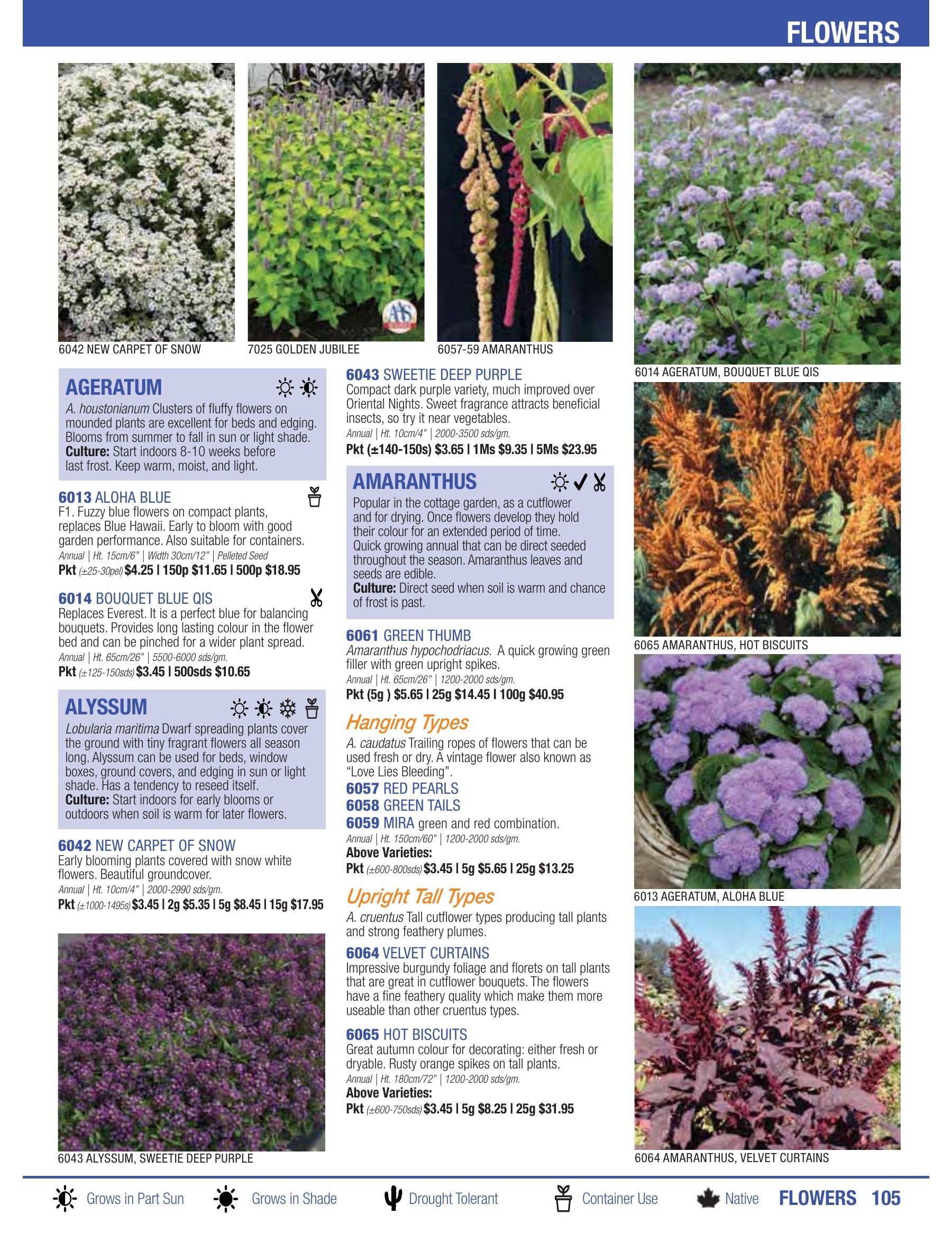 William Dam Seeds Annual Catalog Flyer January 1 - October 31, 2026