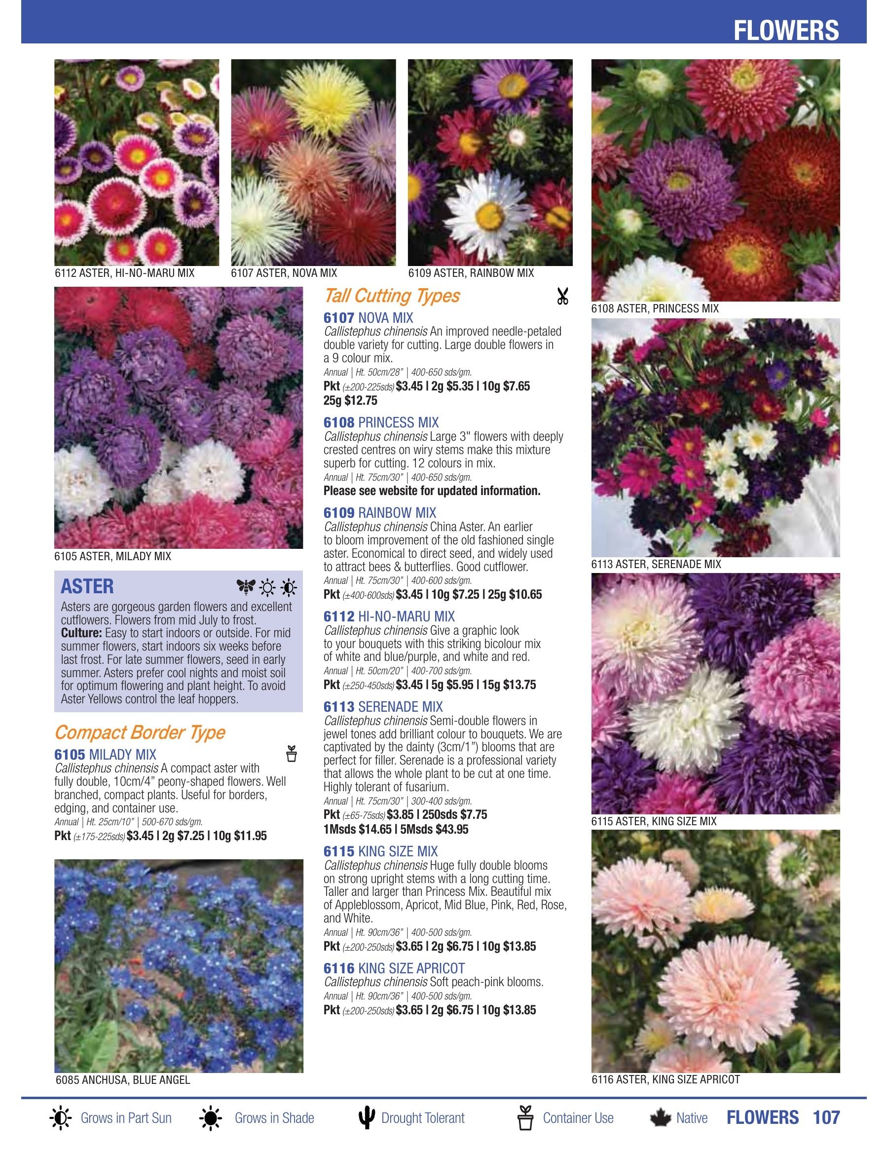 William Dam Seeds Annual Catalog Flyer January 1 - October 31, 2026
